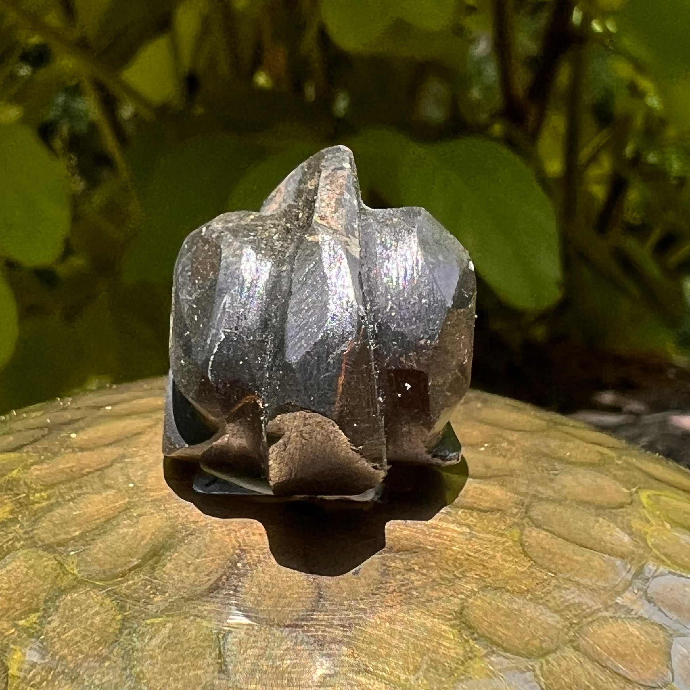 Alien Crystal Carving - Alienite® Star Being #70-Moldavite Life