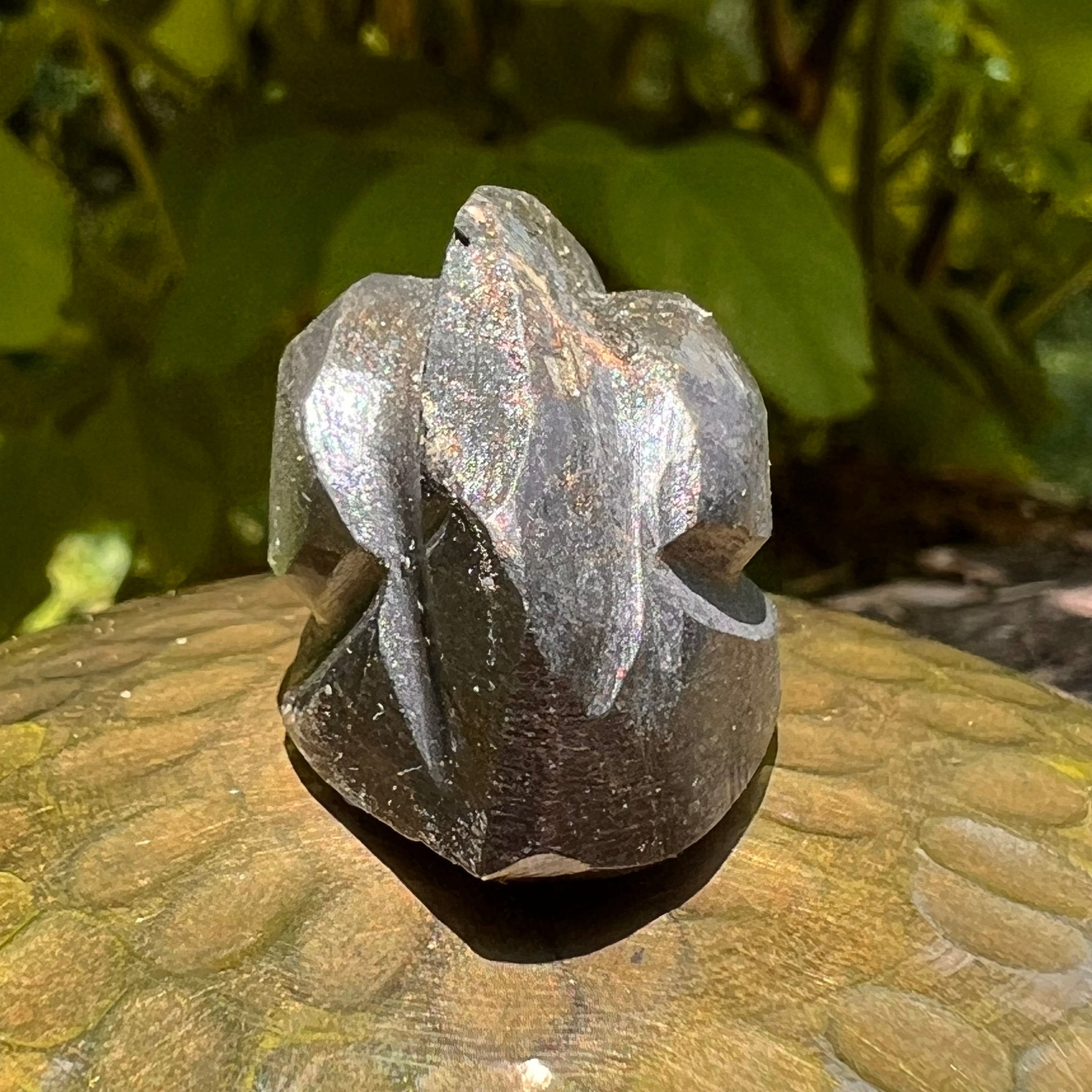 Alien Crystal Carving - Alienite® Star Being #70-Moldavite Life