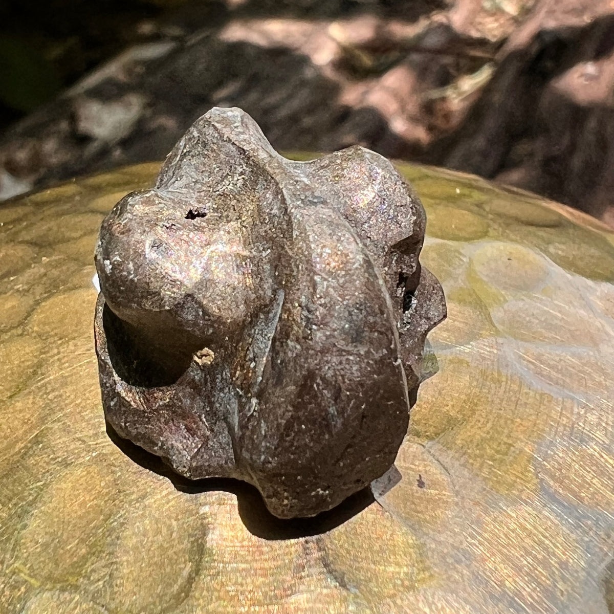 Alien Crystal Carving - Alienite® Star Being #71-Moldavite Life
