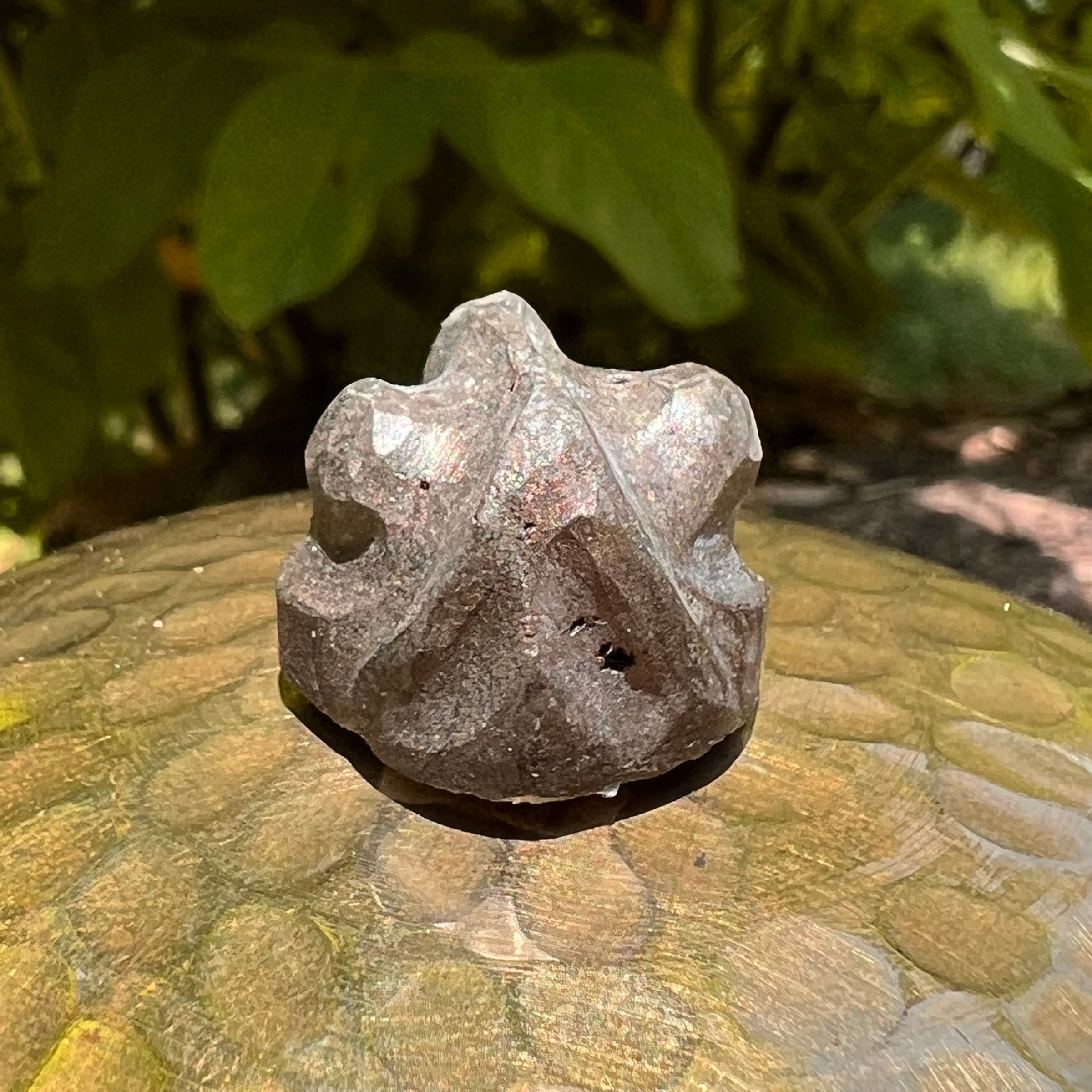 Alien Crystal Carving - Alienite® Star Being #71-Moldavite Life