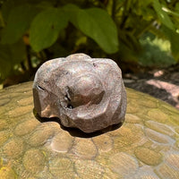 Alien Crystal Carving - Alienite® Star Being #71-Moldavite Life