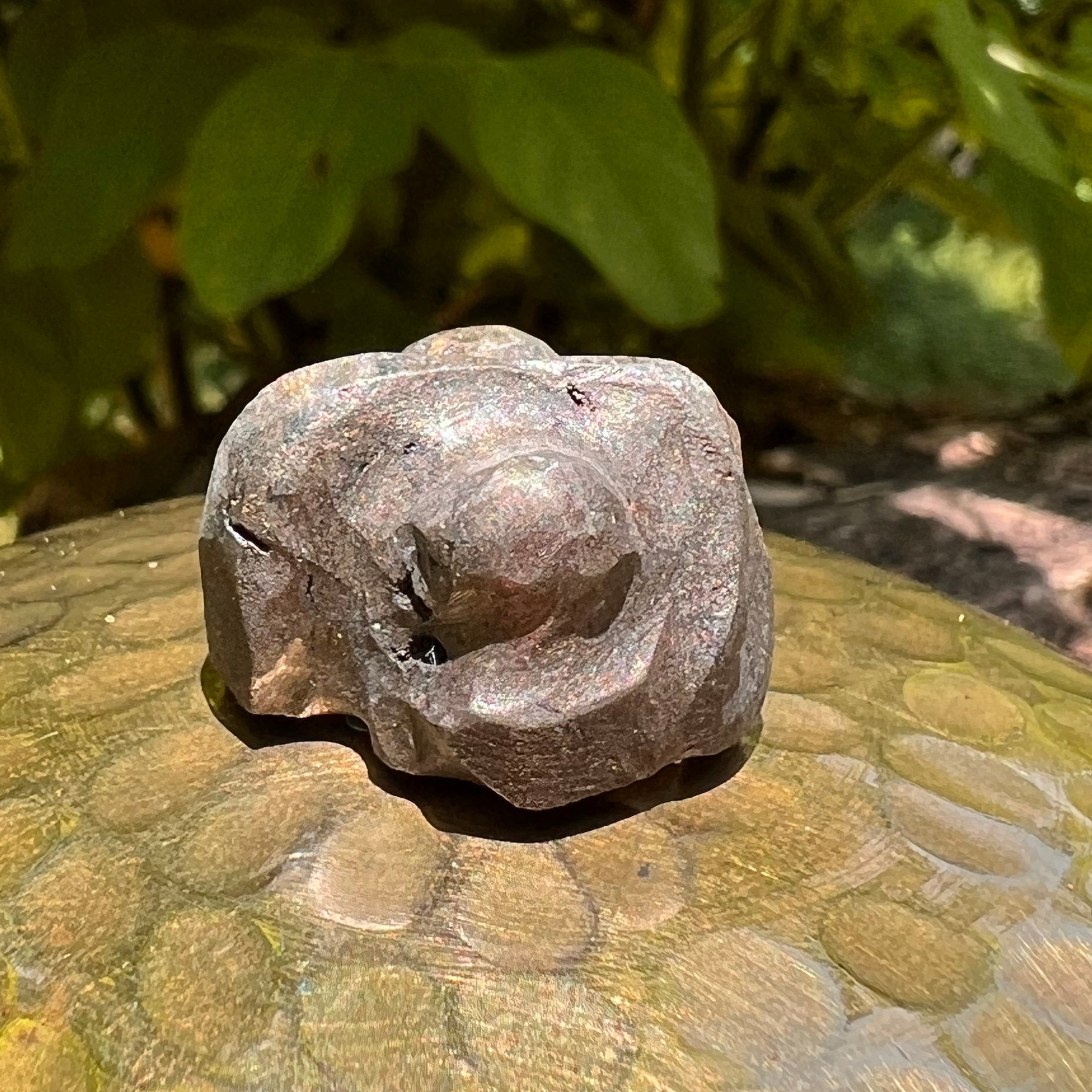 Alien Crystal Carving - Alienite® Star Being #71-Moldavite Life