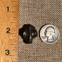 Alien Crystal Carving - Alienite® Star Being #71-Moldavite Life