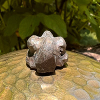 Alien Crystal Carving - Alienite® Star Being #71-Moldavite Life