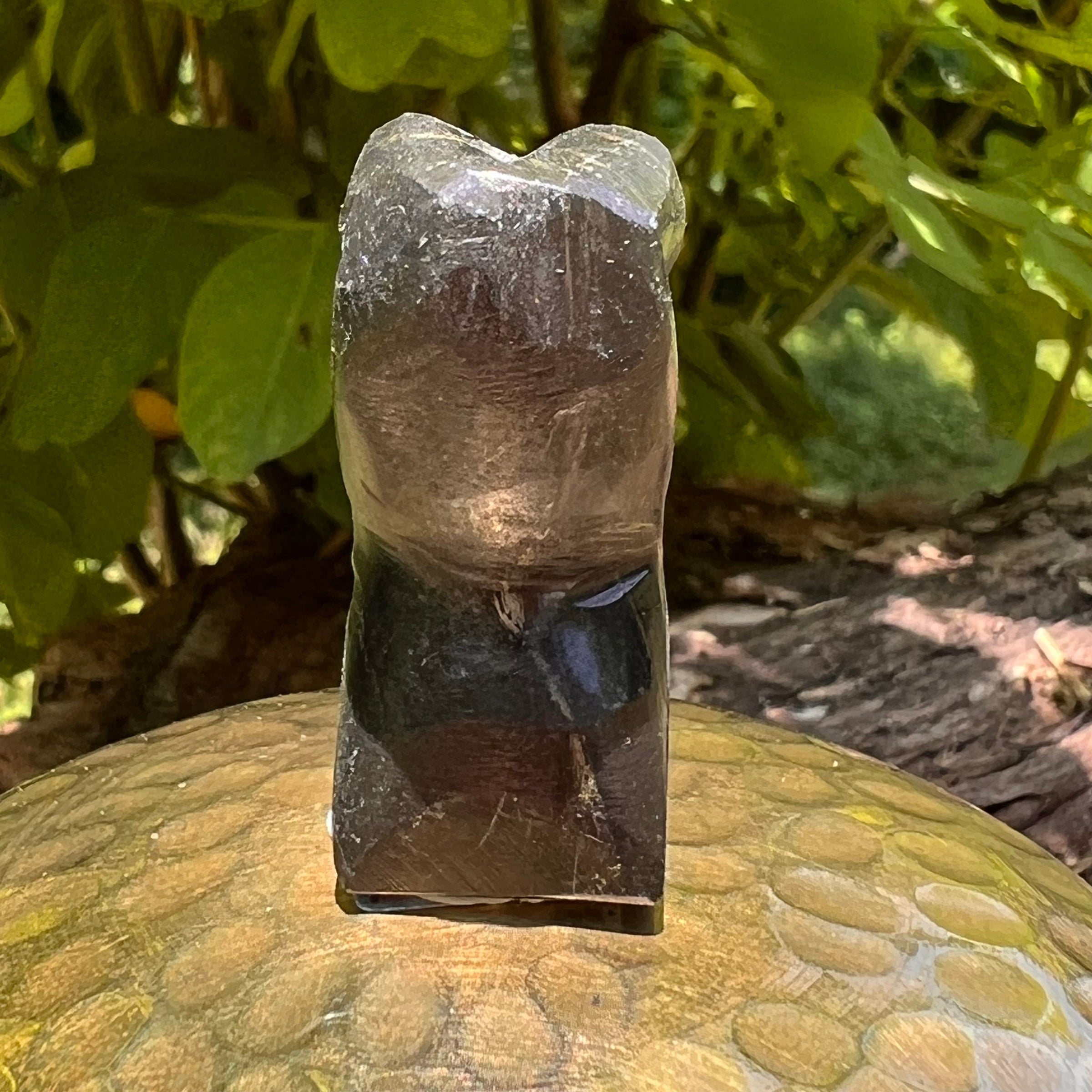 Alien Crystal Carving - Alienite® Star Being #72-Moldavite Life