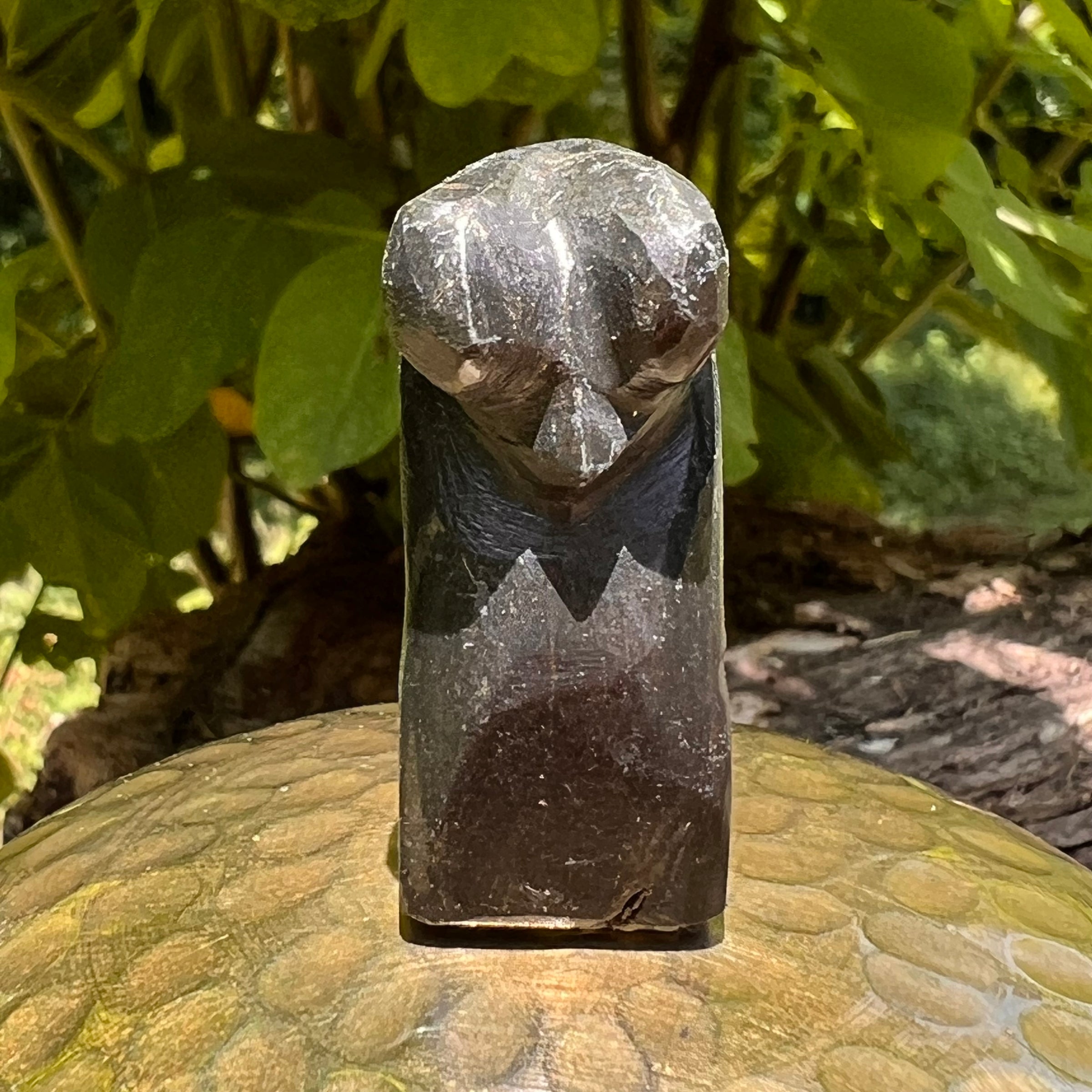 Alien Crystal Carving - Alienite® Star Being #72-Moldavite Life