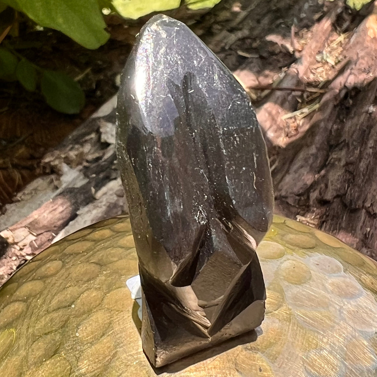 Alien Crystal Carving - Alienite® Star Being #73-Moldavite Life