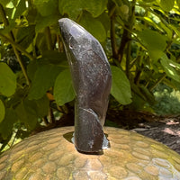 Alien Crystal Carving - Alienite® Star Being #73-Moldavite Life