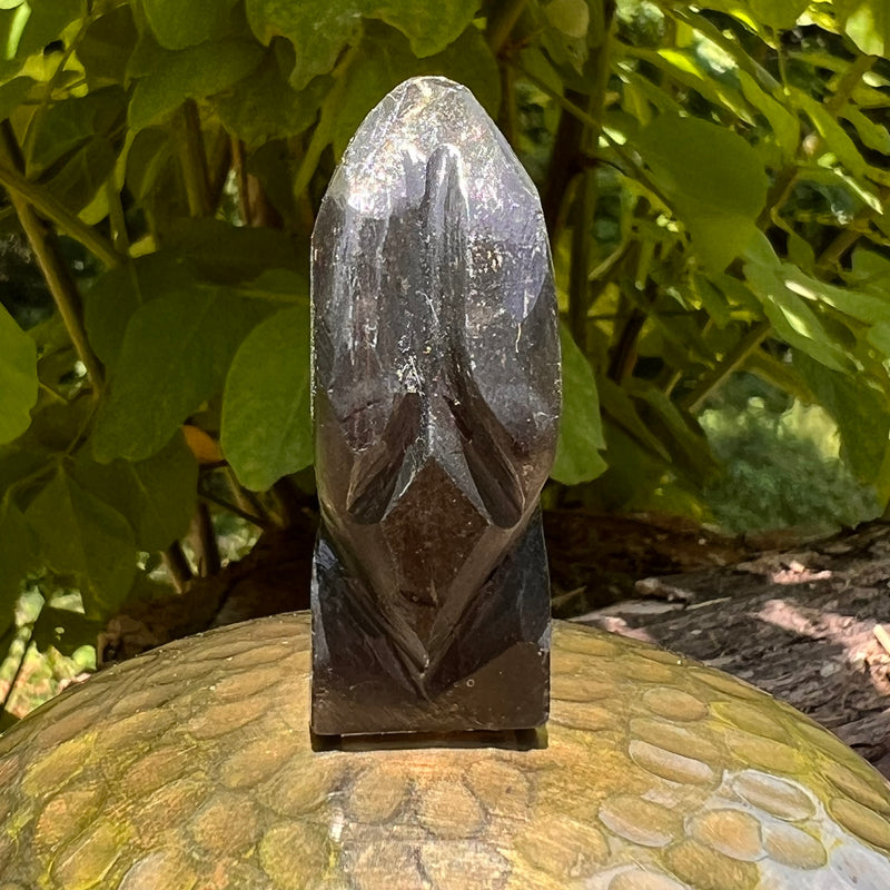 Alien Crystal Carving - Alienite® Star Being #73-Moldavite Life