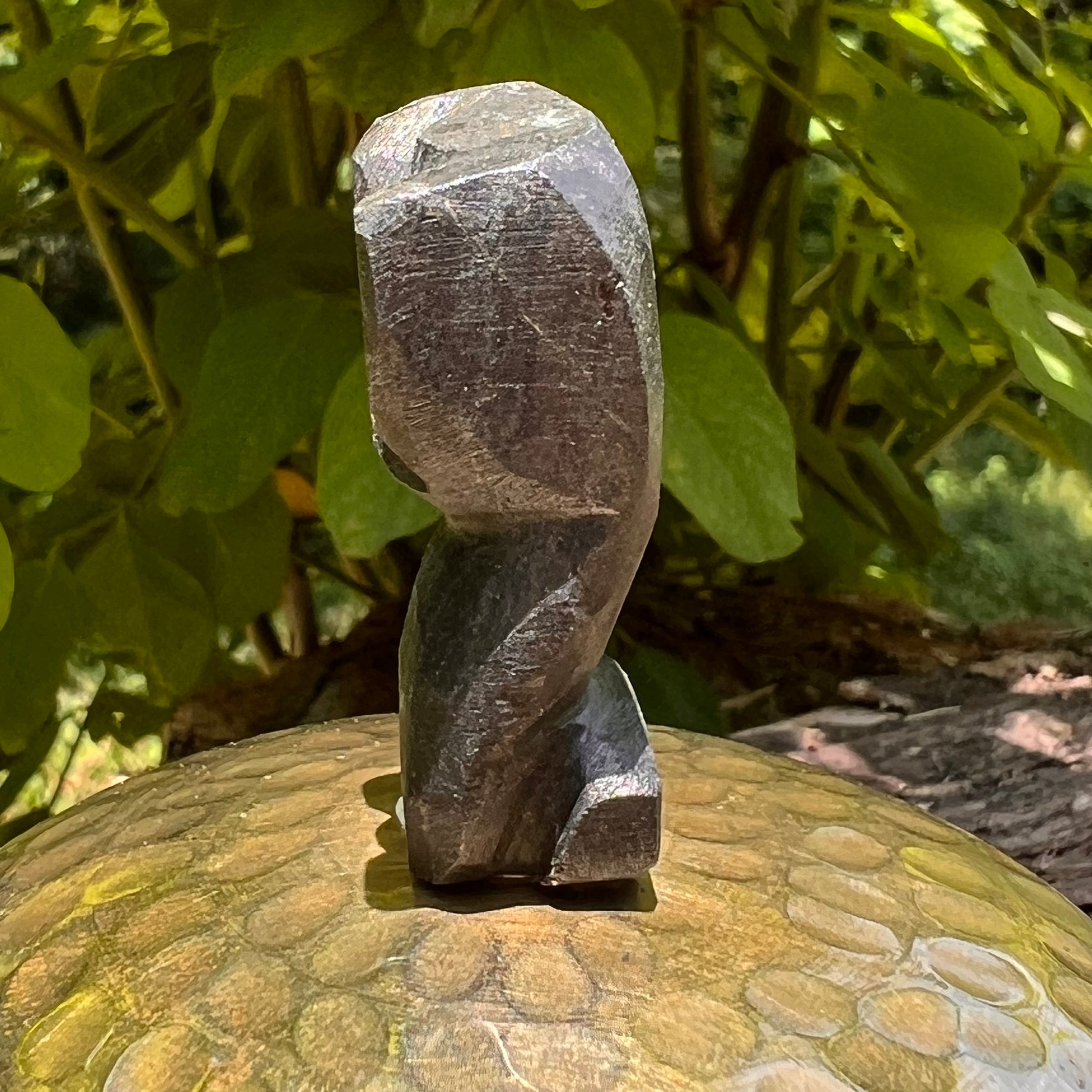 Alien Crystal Carving - Alienite® Star Being #74-Moldavite Life