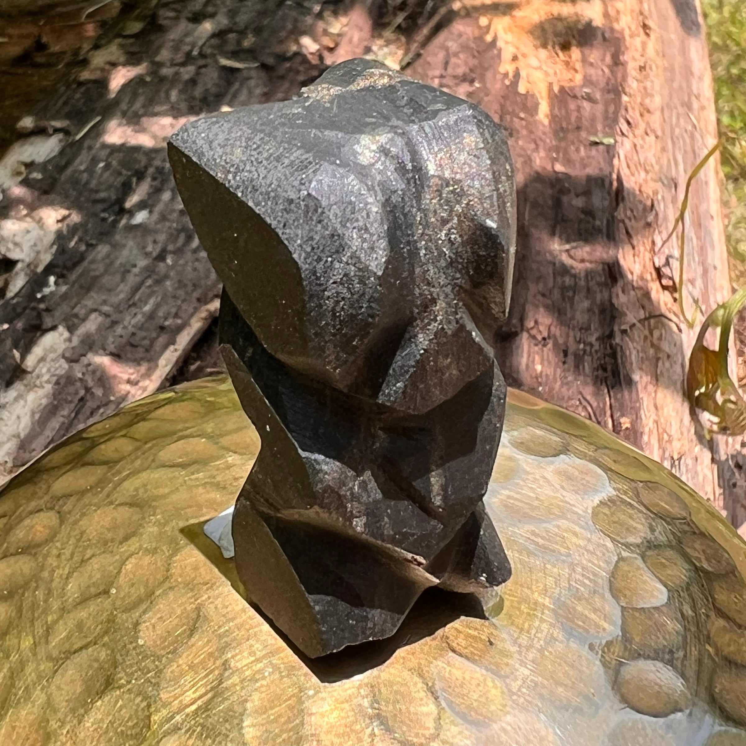 Alien Crystal Carving - Alienite® Star Being #75-Moldavite Life