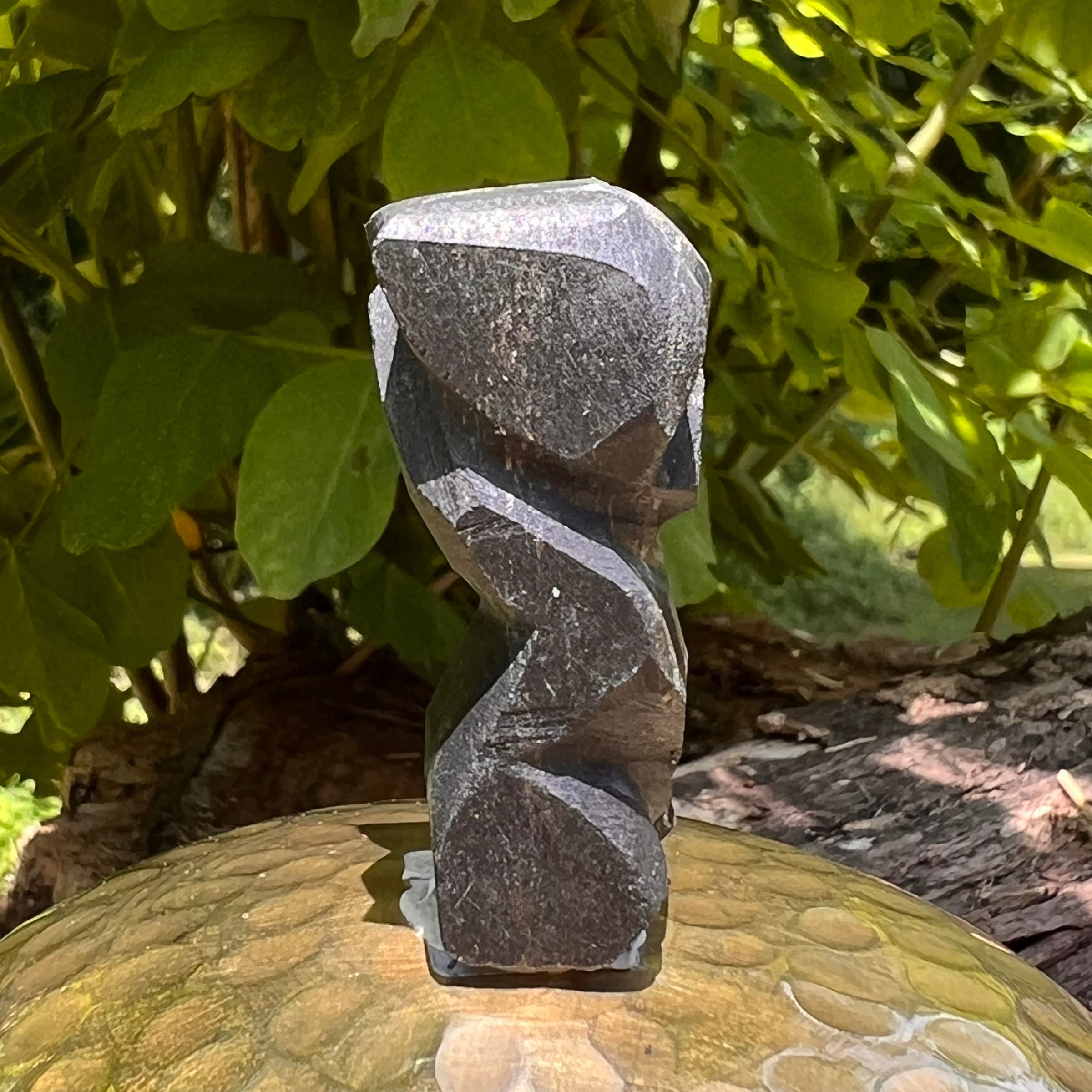 Alien Crystal Carving - Alienite® Star Being #75-Moldavite Life