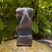 Alien Crystal Carving - Alienite® Star Being #75-Moldavite Life