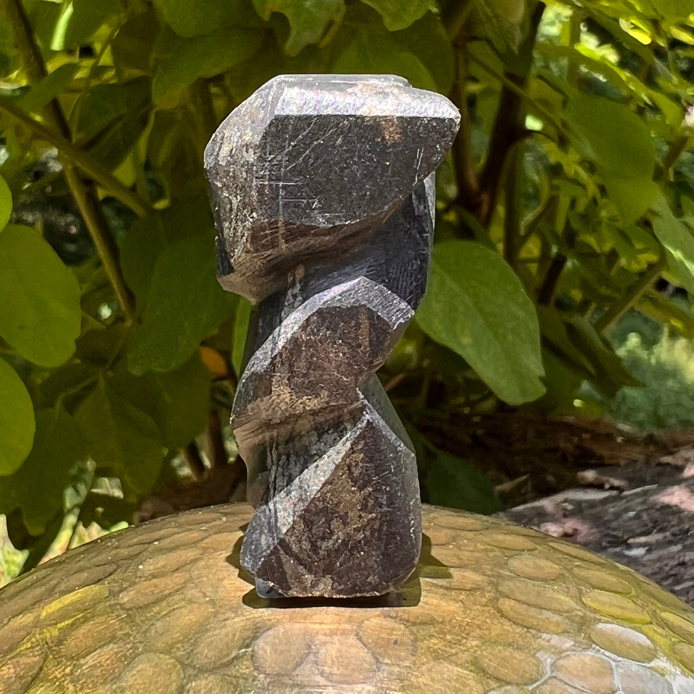 Alien Crystal Carving - Alienite® Star Being #75-Moldavite Life