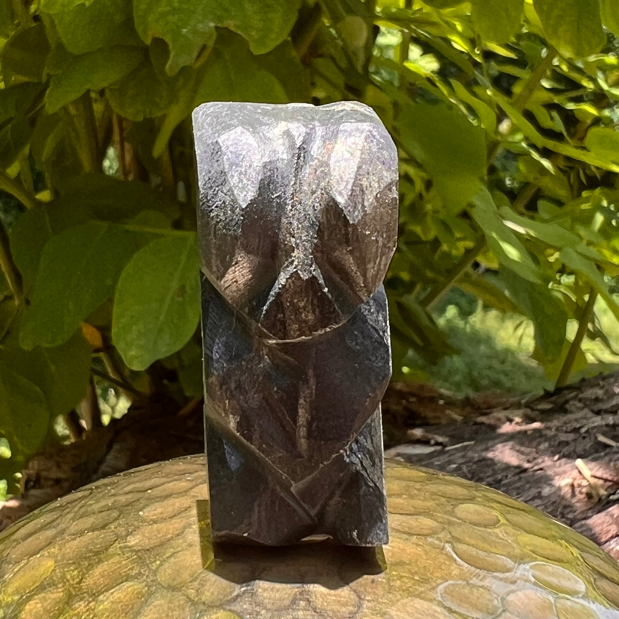 Alien Crystal Carving - Alienite® Star Being #75-Moldavite Life