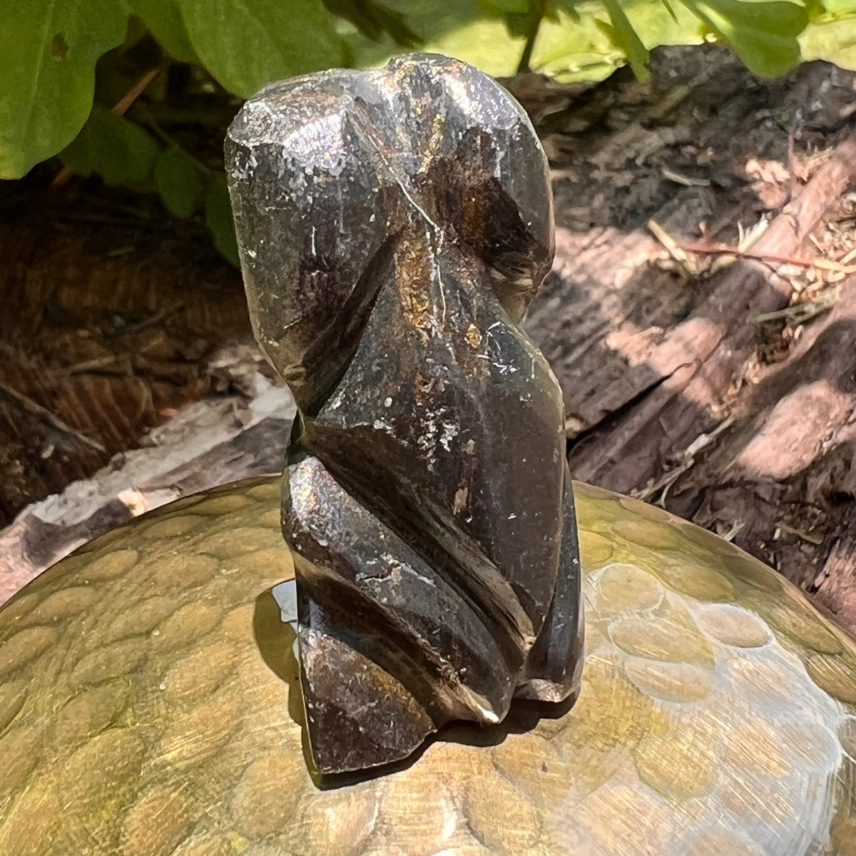 Alien Crystal Carving - Alienite® Star Being #76-Moldavite Life