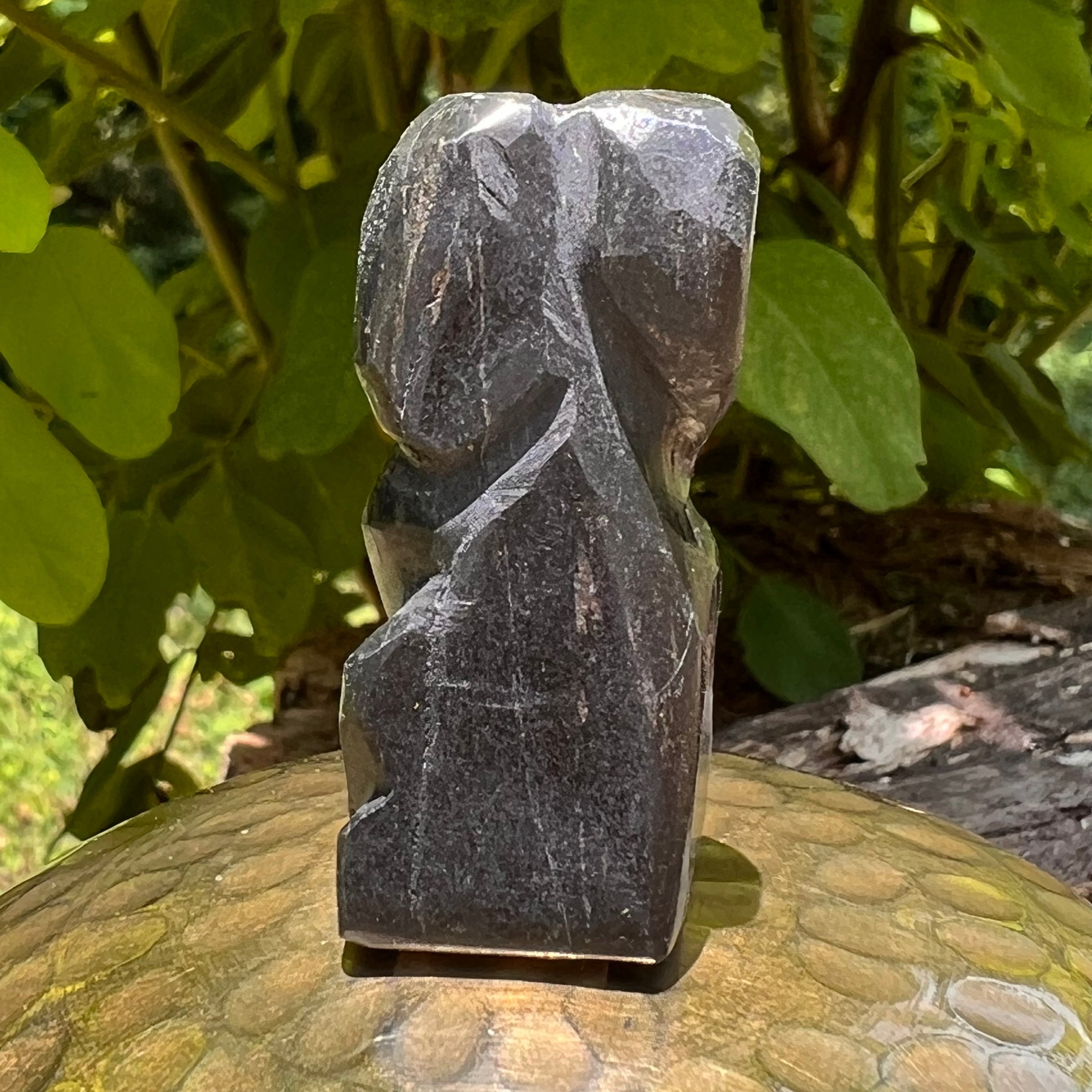 Alien Crystal Carving - Alienite® Star Being #76-Moldavite Life