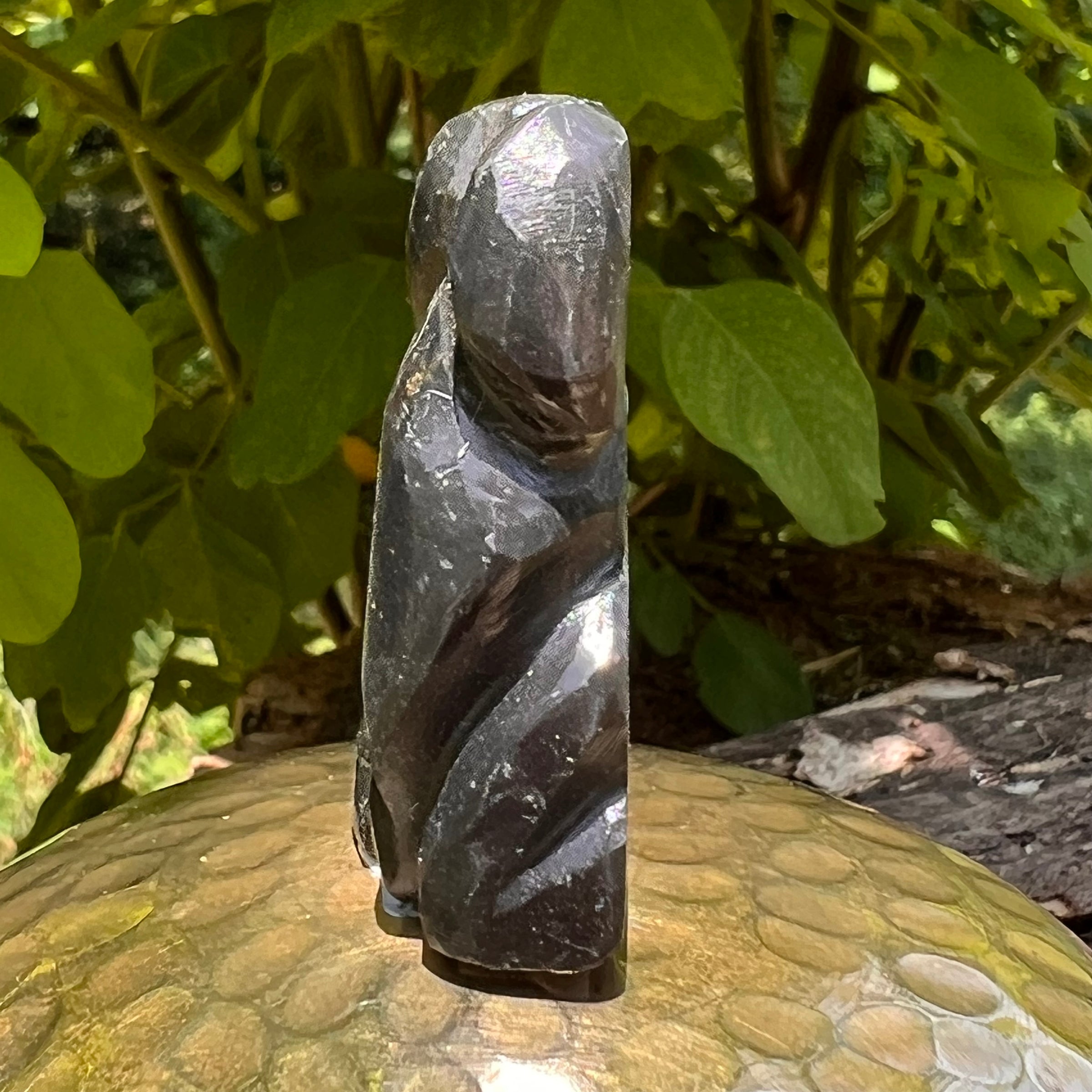 Alien Crystal Carving - Alienite® Star Being #76-Moldavite Life