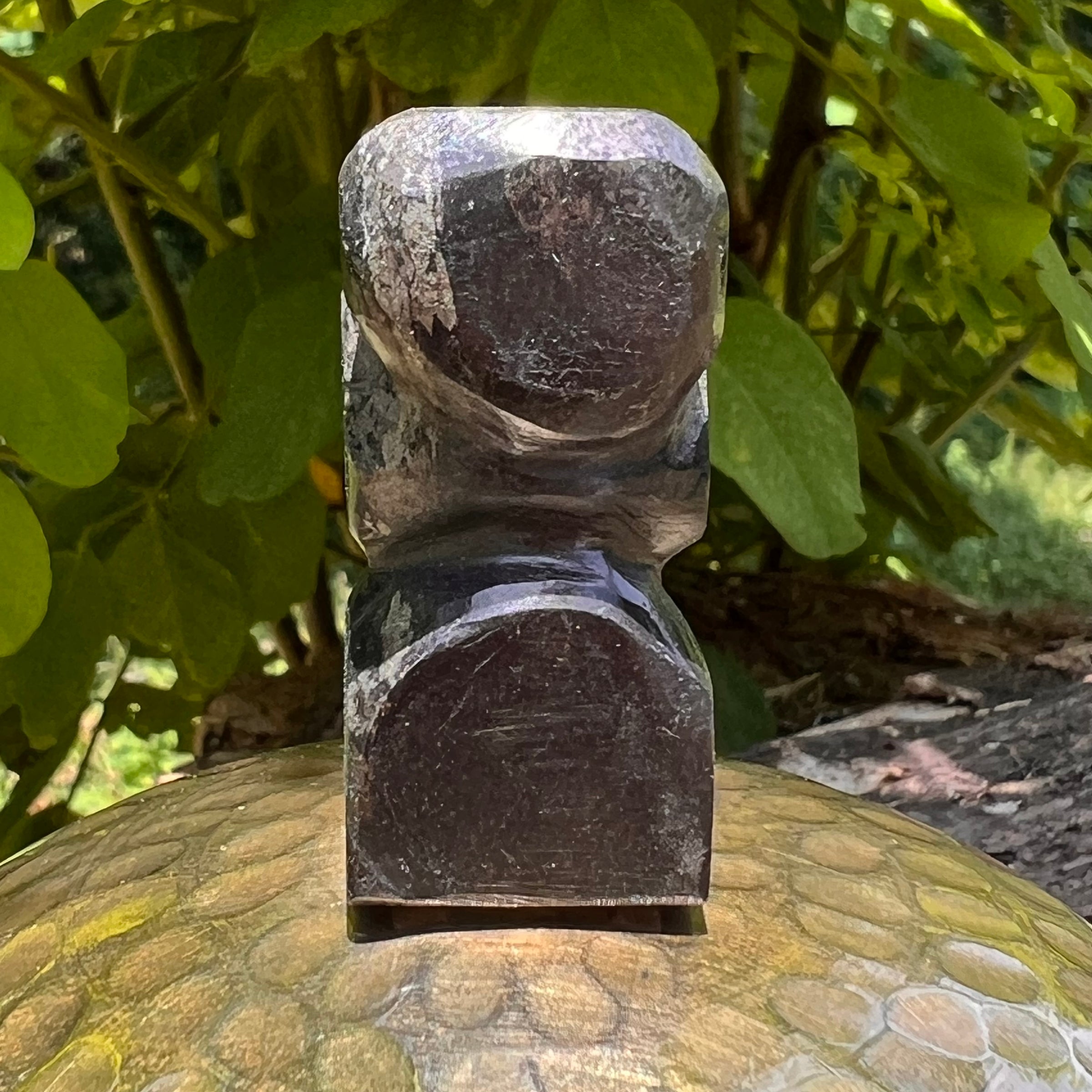 Alien Crystal Carving - Alienite® Star Being #77-Moldavite Life