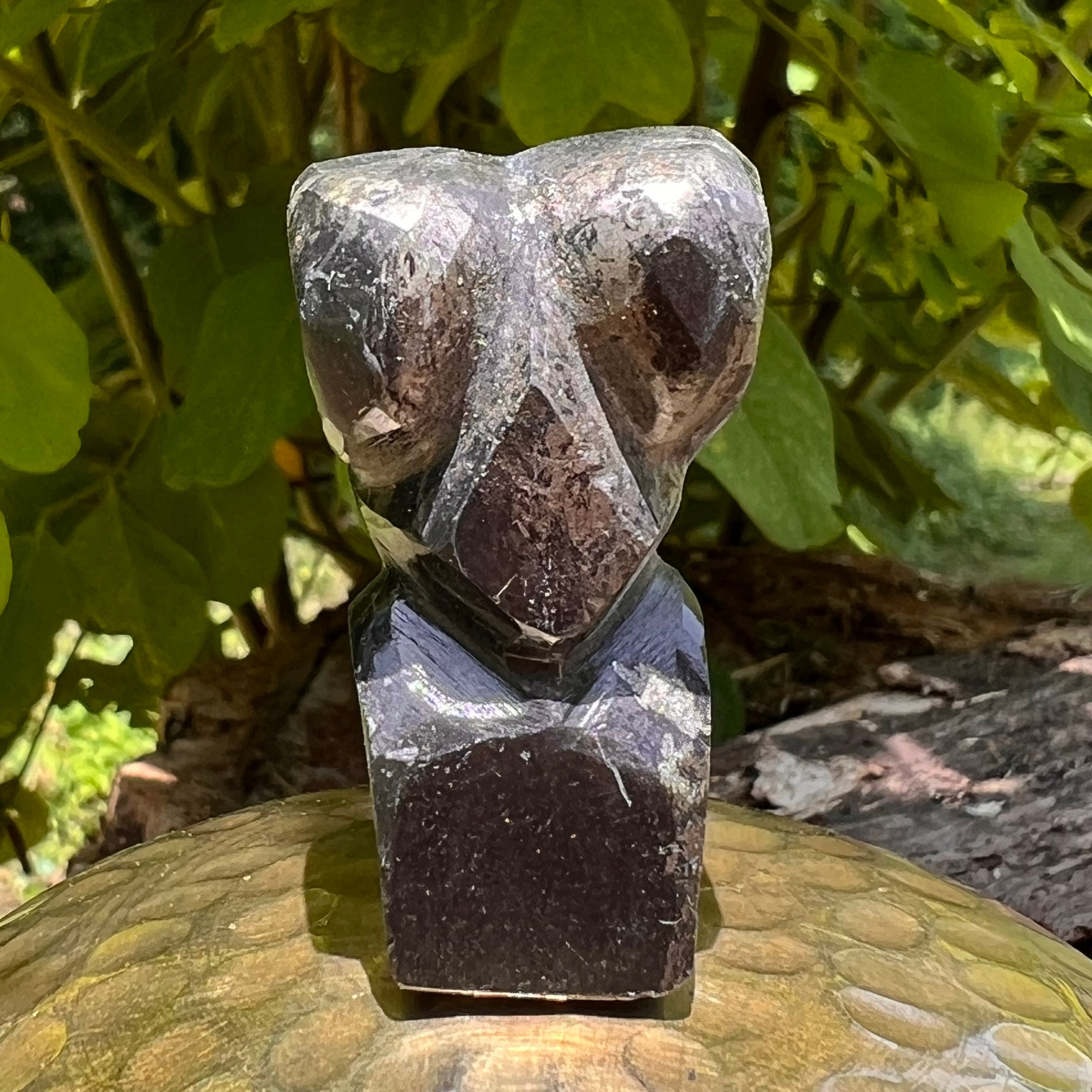 Alien Crystal Carving - Alienite® Star Being #77-Moldavite Life