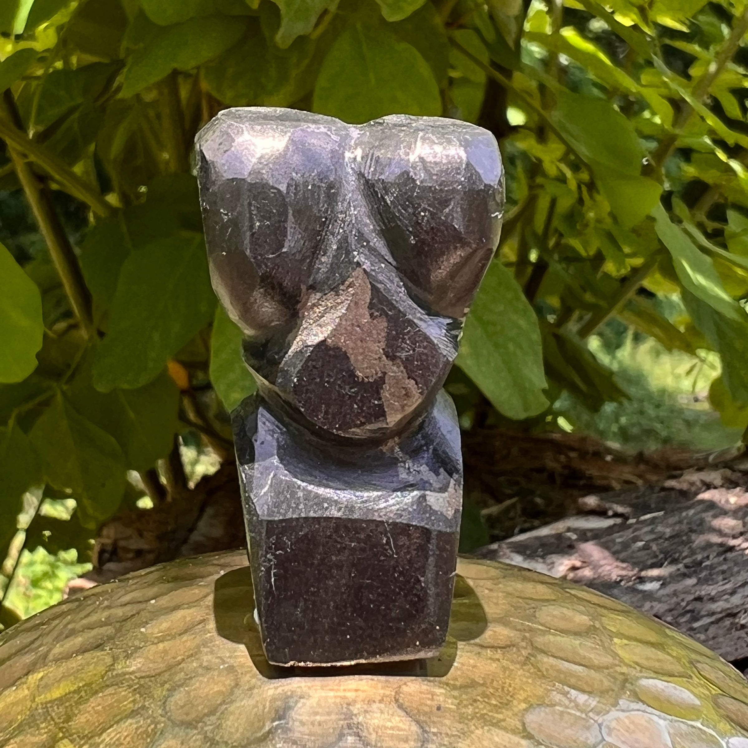 Alien Crystal Carving - Alienite® Star Being #77-Moldavite Life