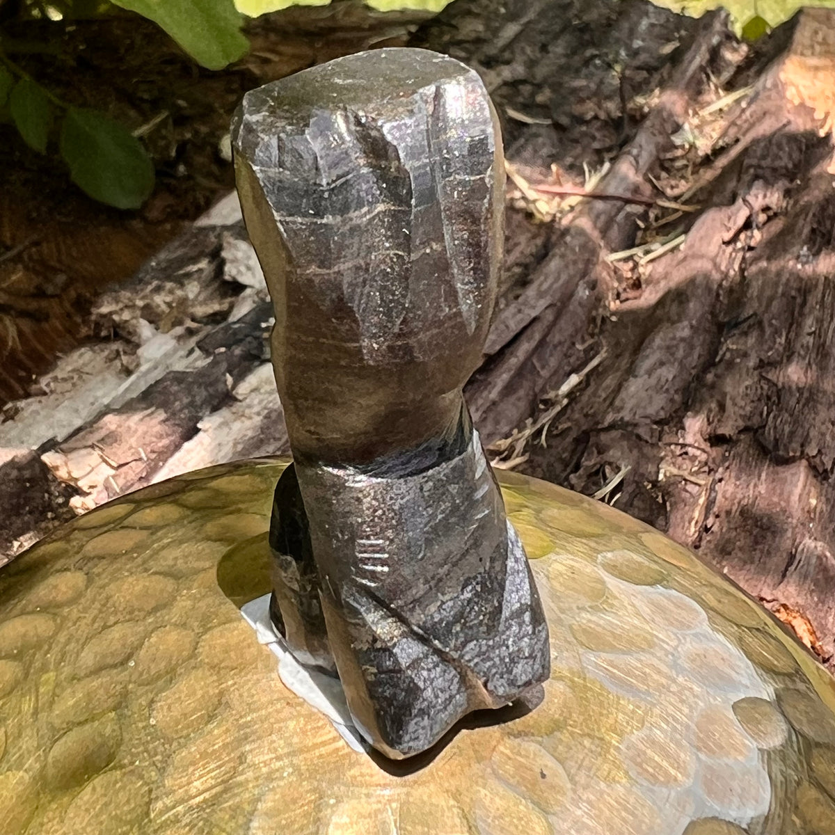 Alien Crystal Carving - Alienite® Star Being #78-Moldavite Life