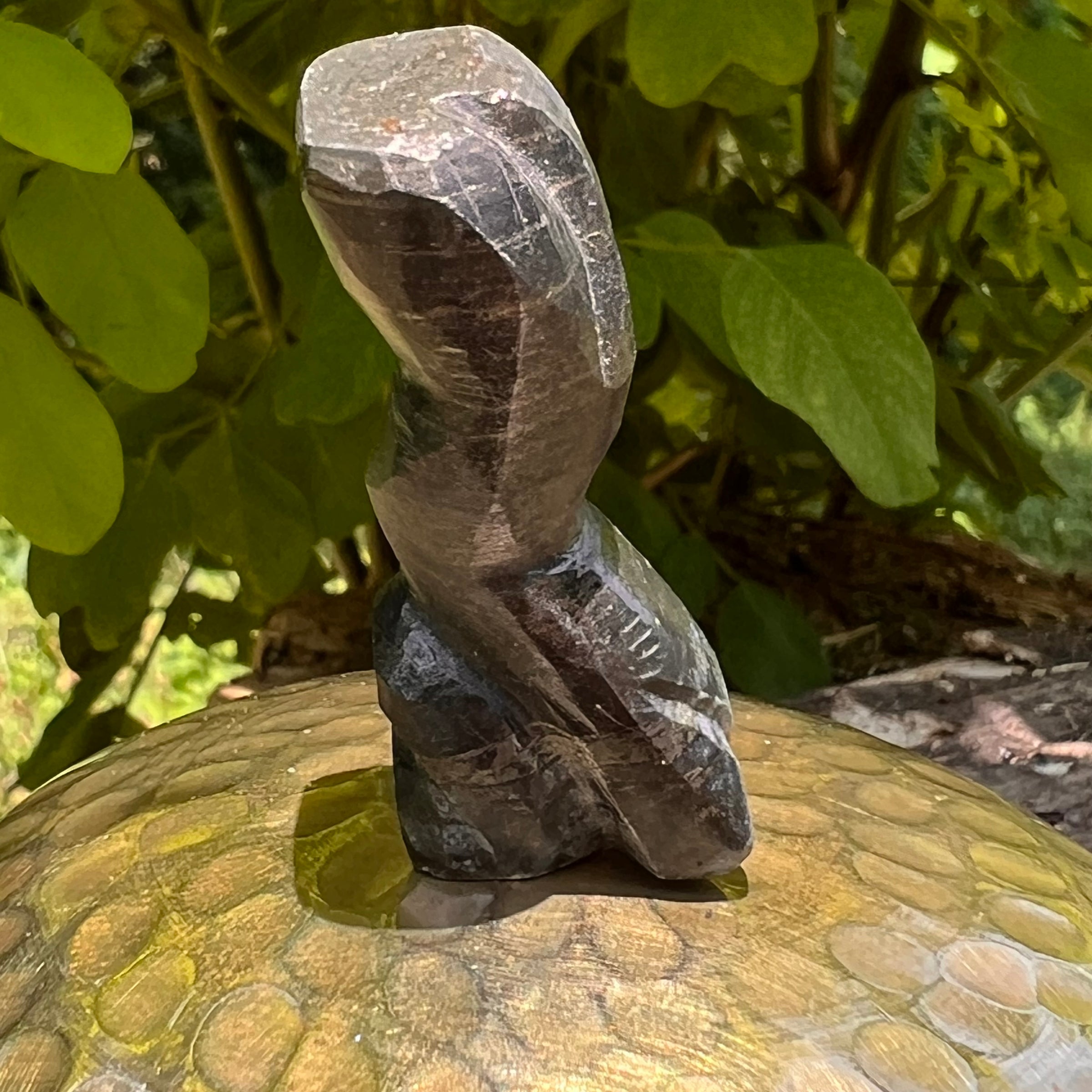 Alien Crystal Carving - Alienite® Star Being #78-Moldavite Life