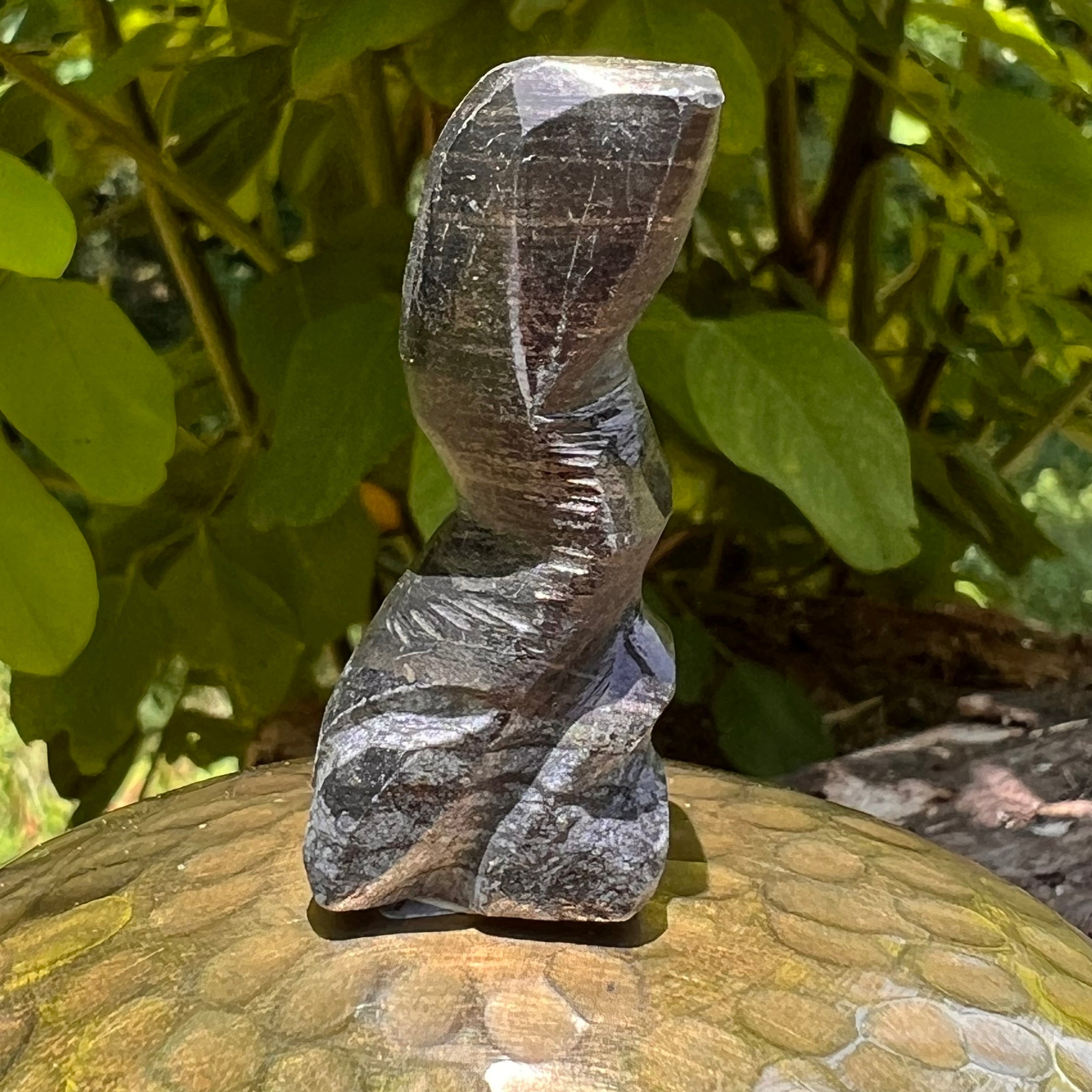Alien Crystal Carving - Alienite® Star Being #78-Moldavite Life