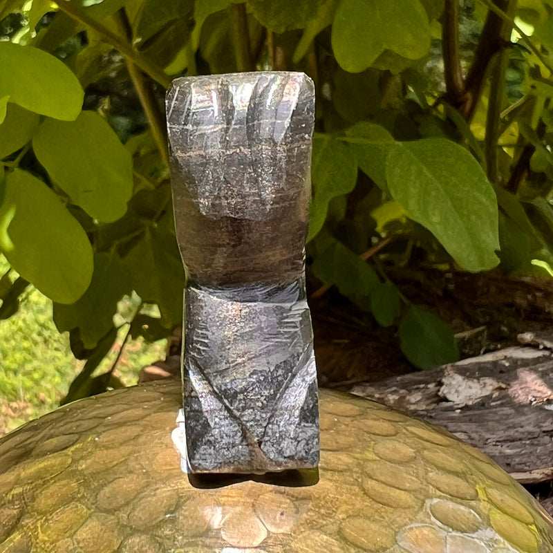 Alien Crystal Carving - Alienite® Star Being #78-Moldavite Life