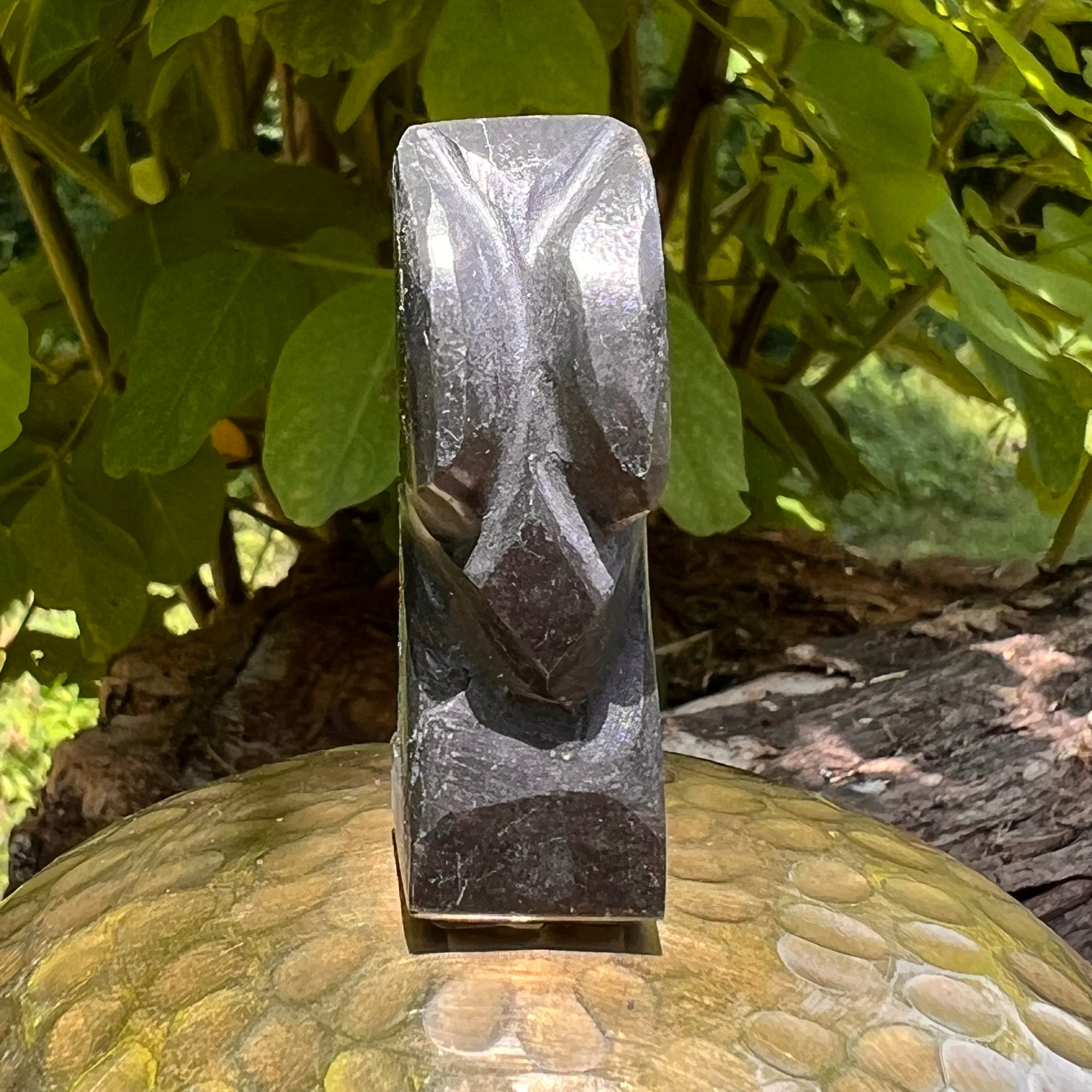 Alien Crystal Carving - Alienite® Star Being #79-Moldavite Life
