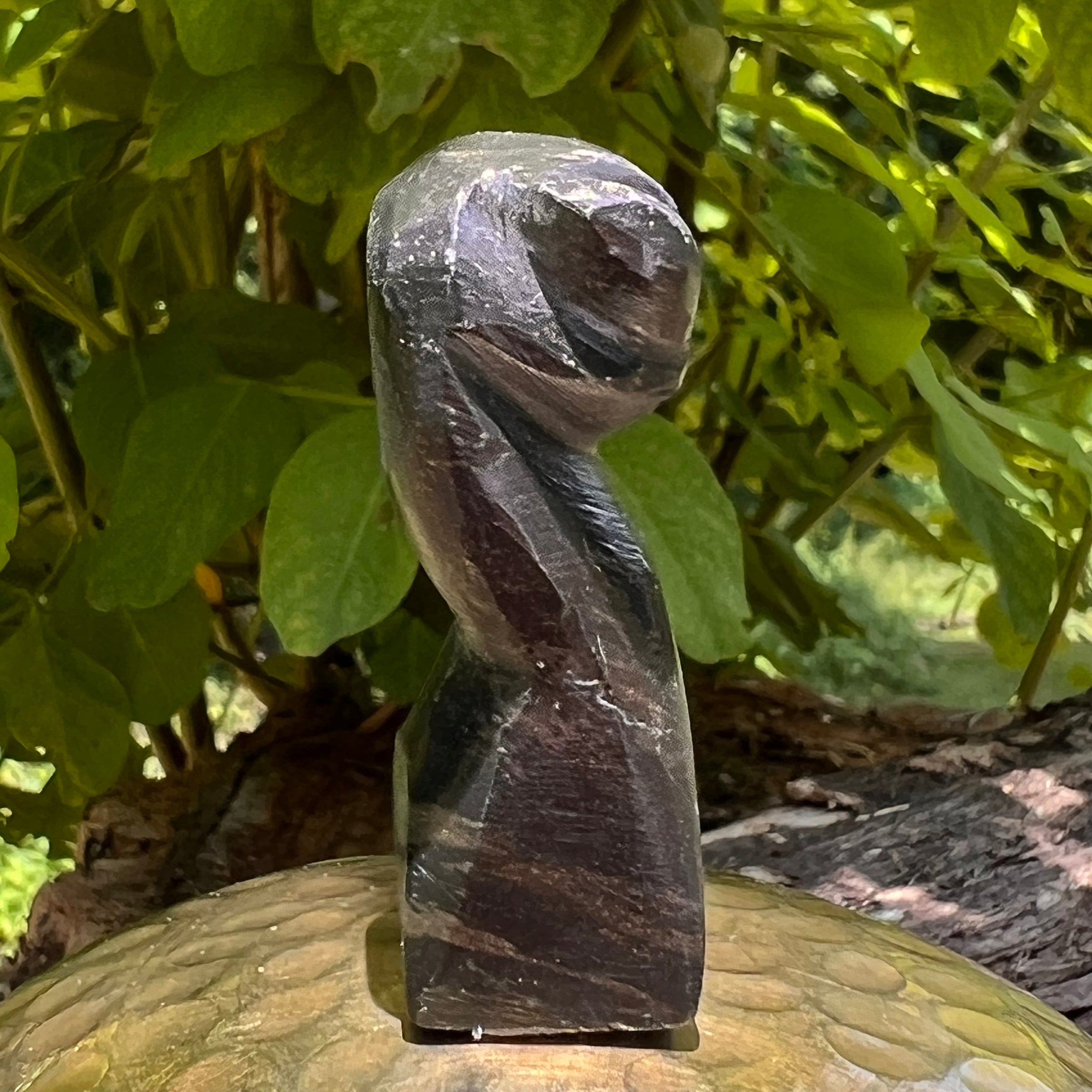 Alien Crystal Carving - Alienite® Star Being #80-Moldavite Life