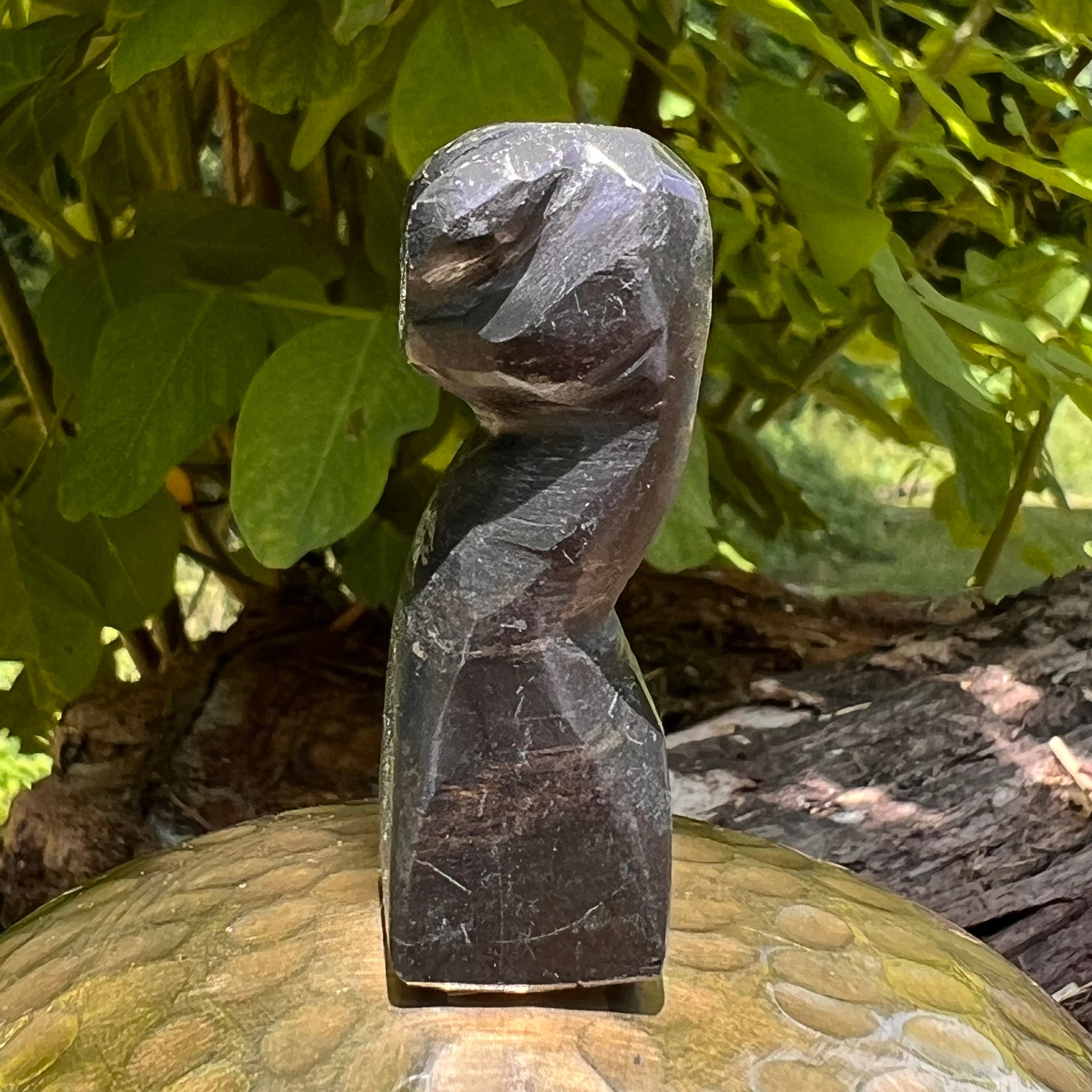 Alien Crystal Carving - Alienite® Star Being #80-Moldavite Life