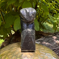 Alien Crystal Carving - Alienite® Star Being #80-Moldavite Life
