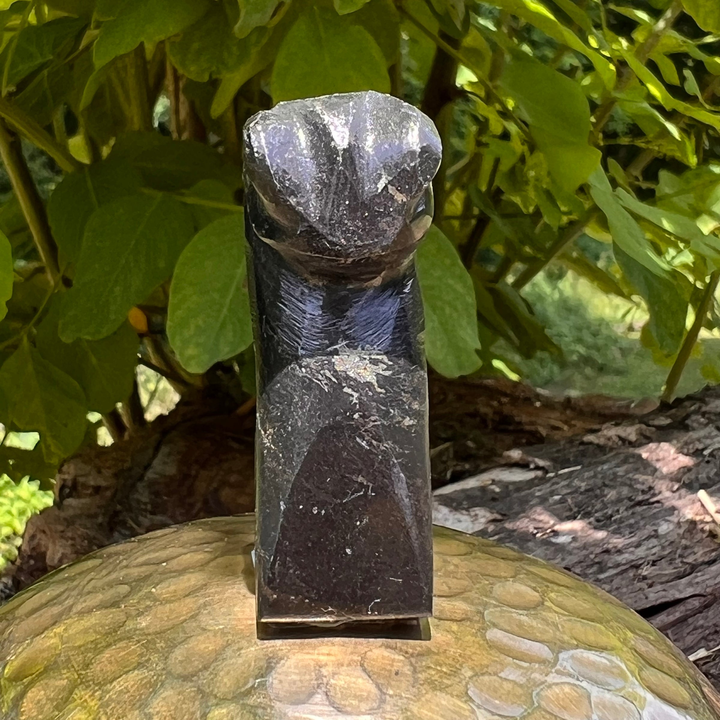Alien Crystal Carving - Alienite® Star Being #80-Moldavite Life