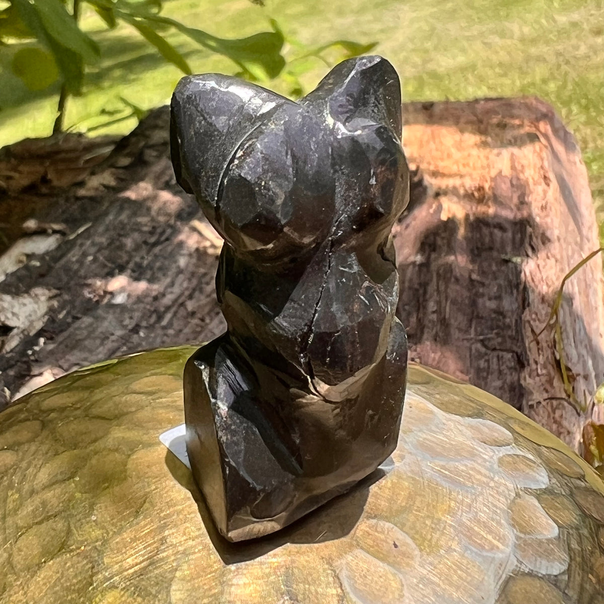 Alien Crystal Carving - Alienite® Star Being #84-Moldavite Life