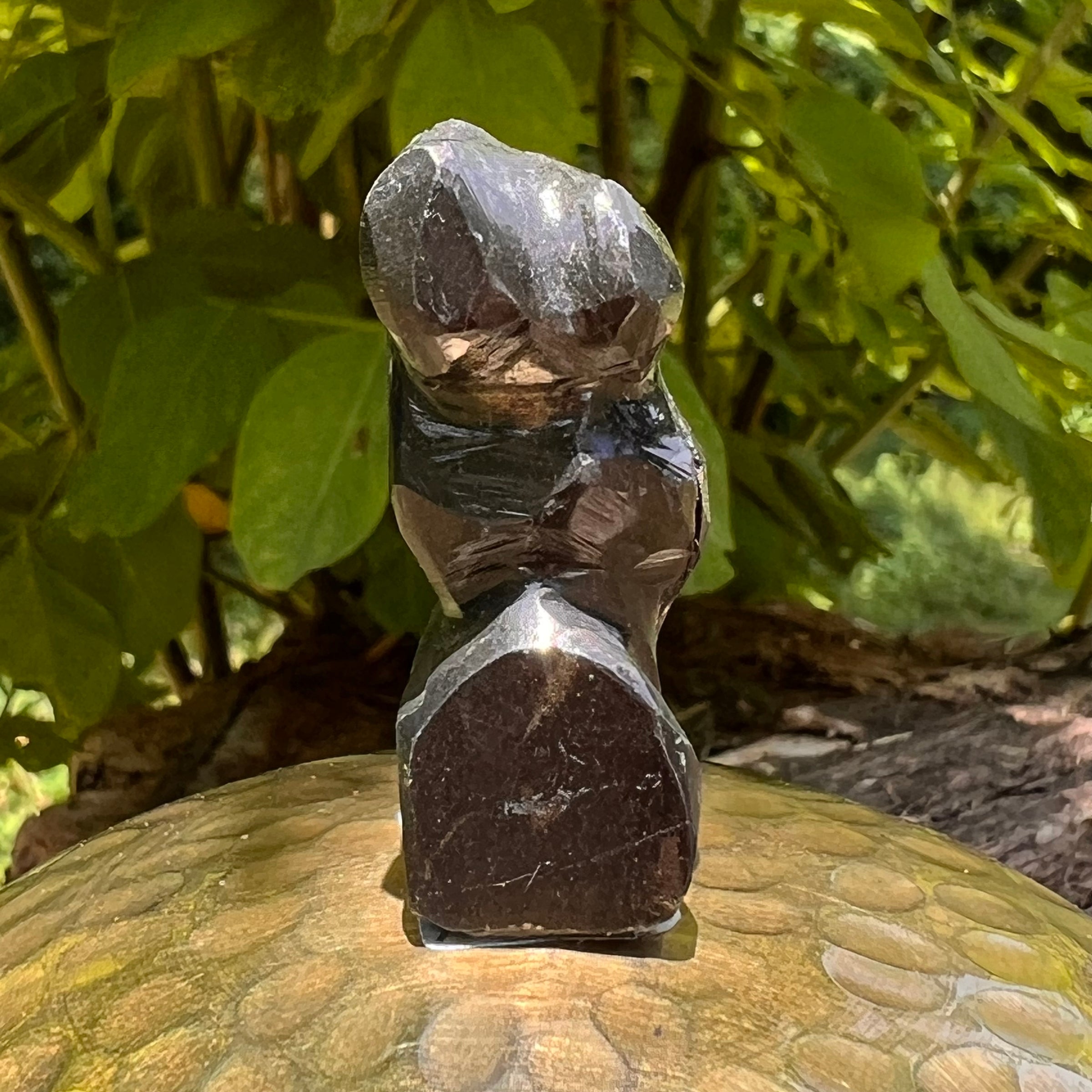 Alien Crystal Carving - Alienite® Star Being #84-Moldavite Life