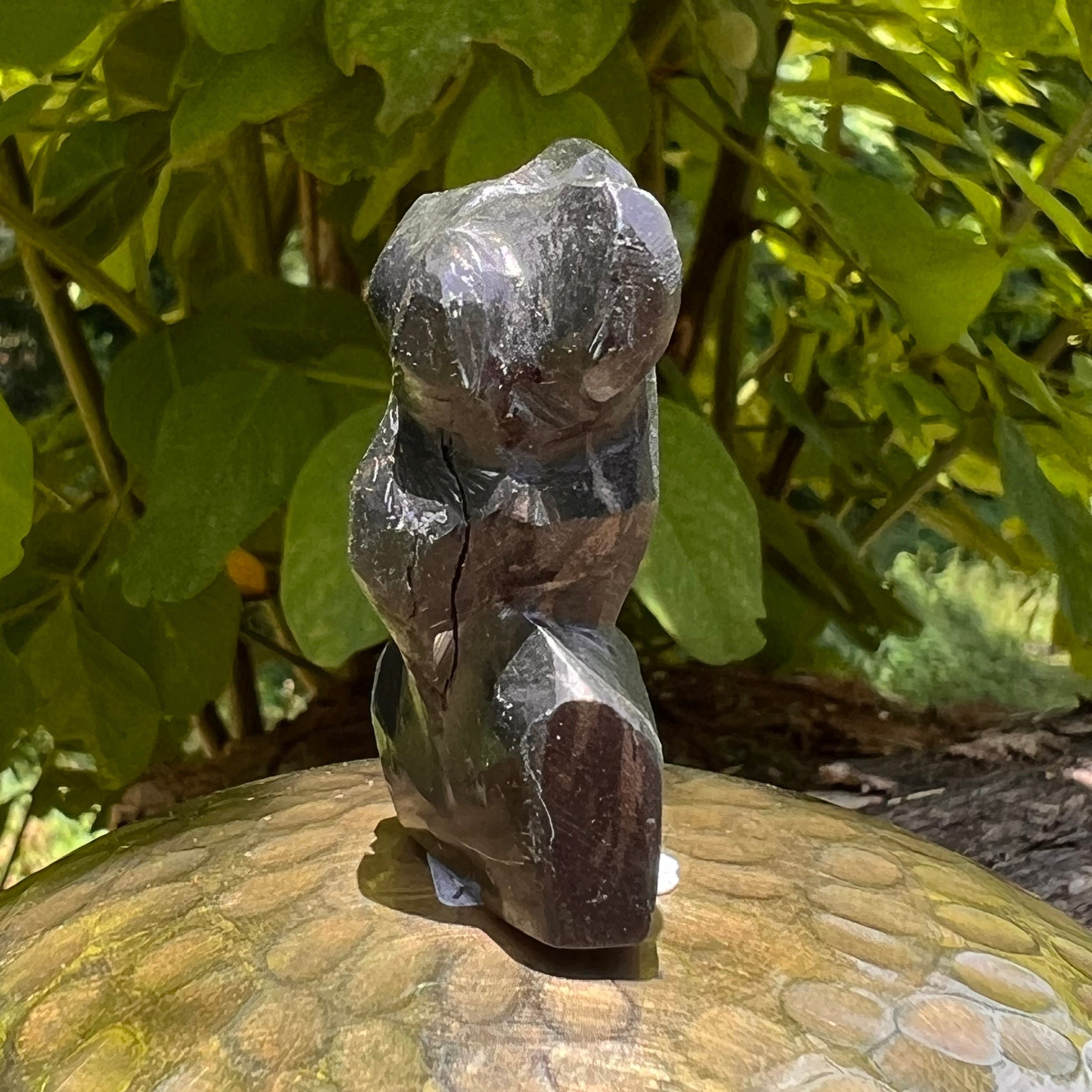 Alien Crystal Carving - Alienite® Star Being #84-Moldavite Life