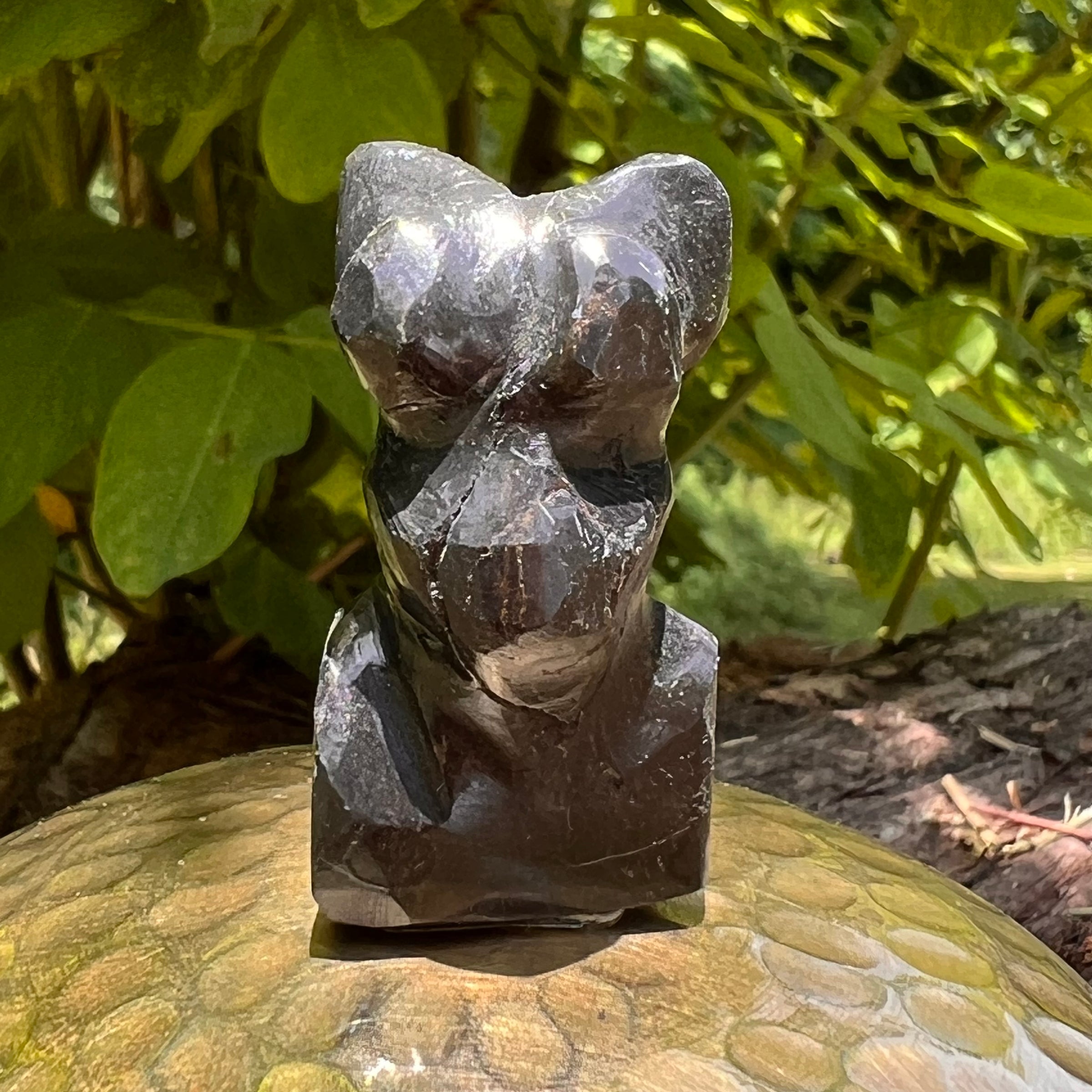 Alien Crystal Carving - Alienite® Star Being #84-Moldavite Life