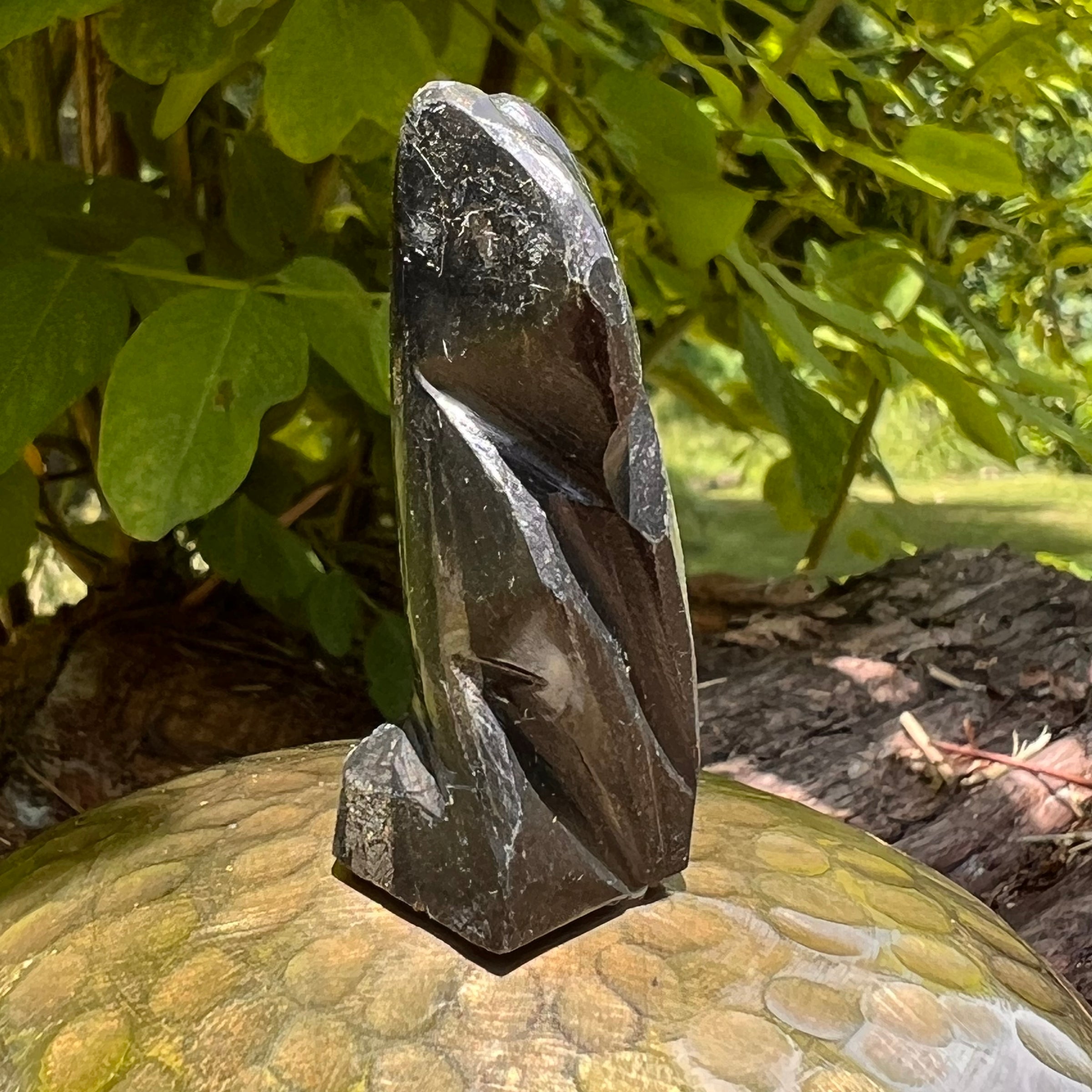 Alien Crystal Carving - Alienite® Star Being #85-Moldavite Life