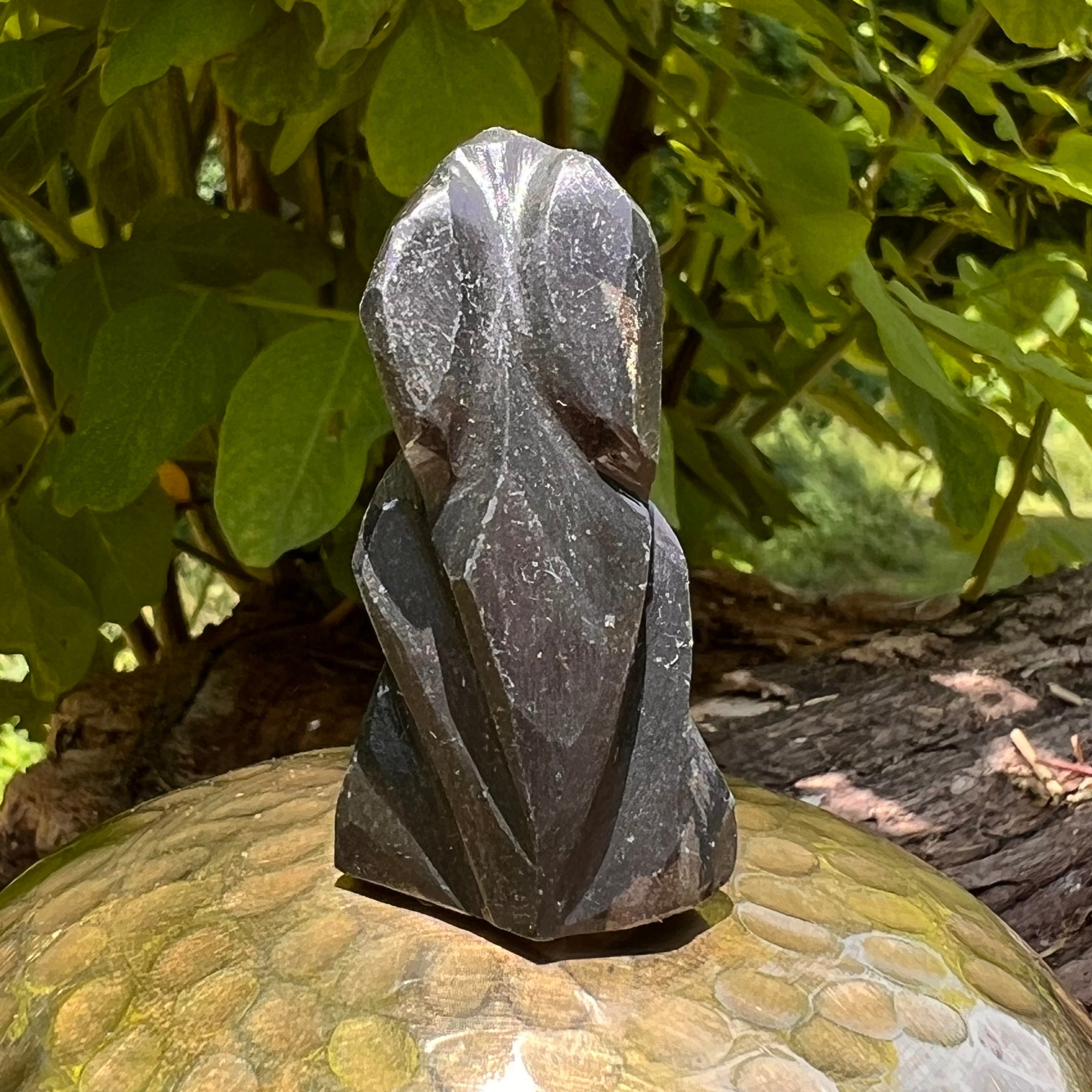Alien Crystal Carving - Alienite® Star Being #85-Moldavite Life