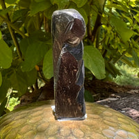 Alien Crystal Carving - Alienite® Star Being #86-Moldavite Life