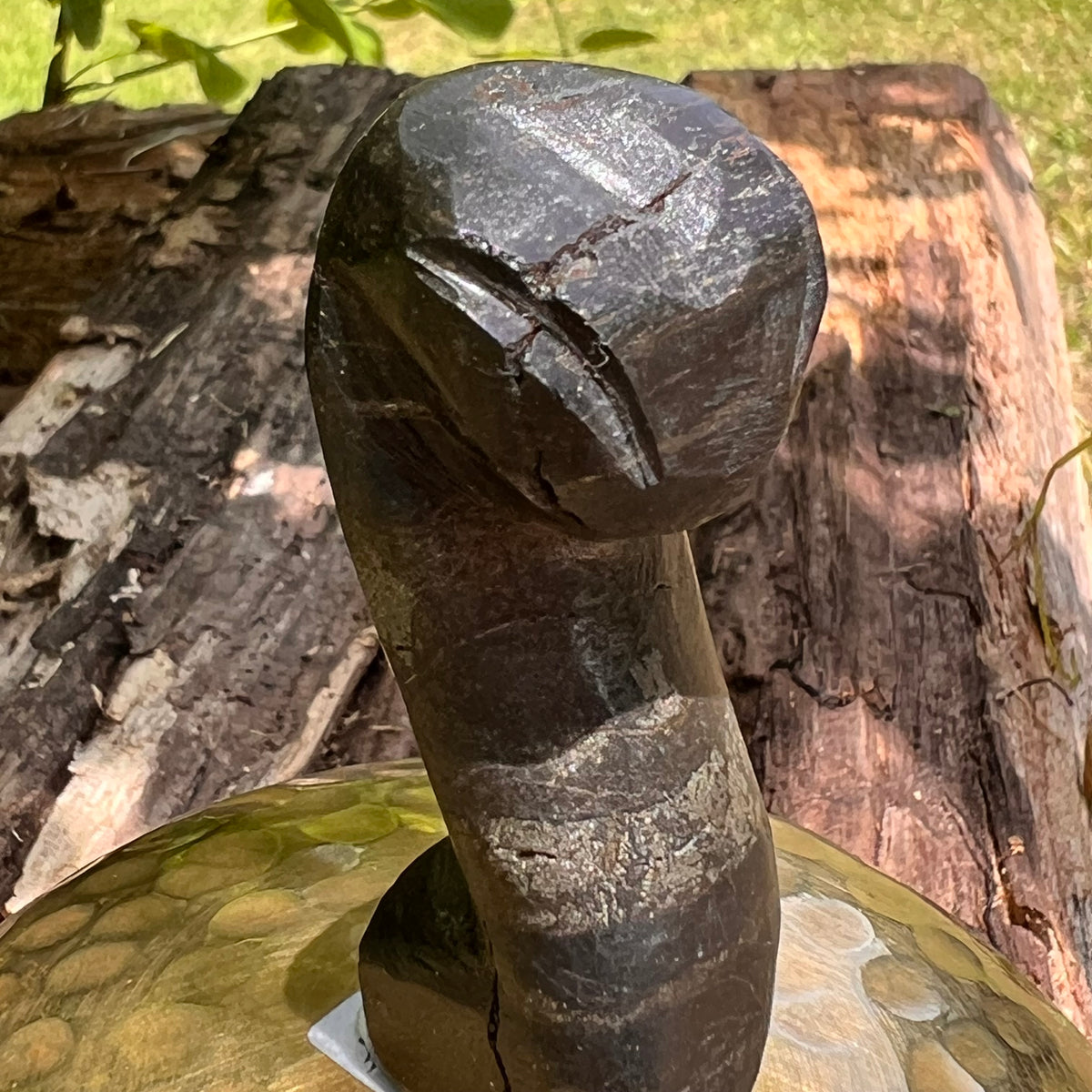 Alien Crystal Carving - Alienite® Star Being #87-Moldavite Life