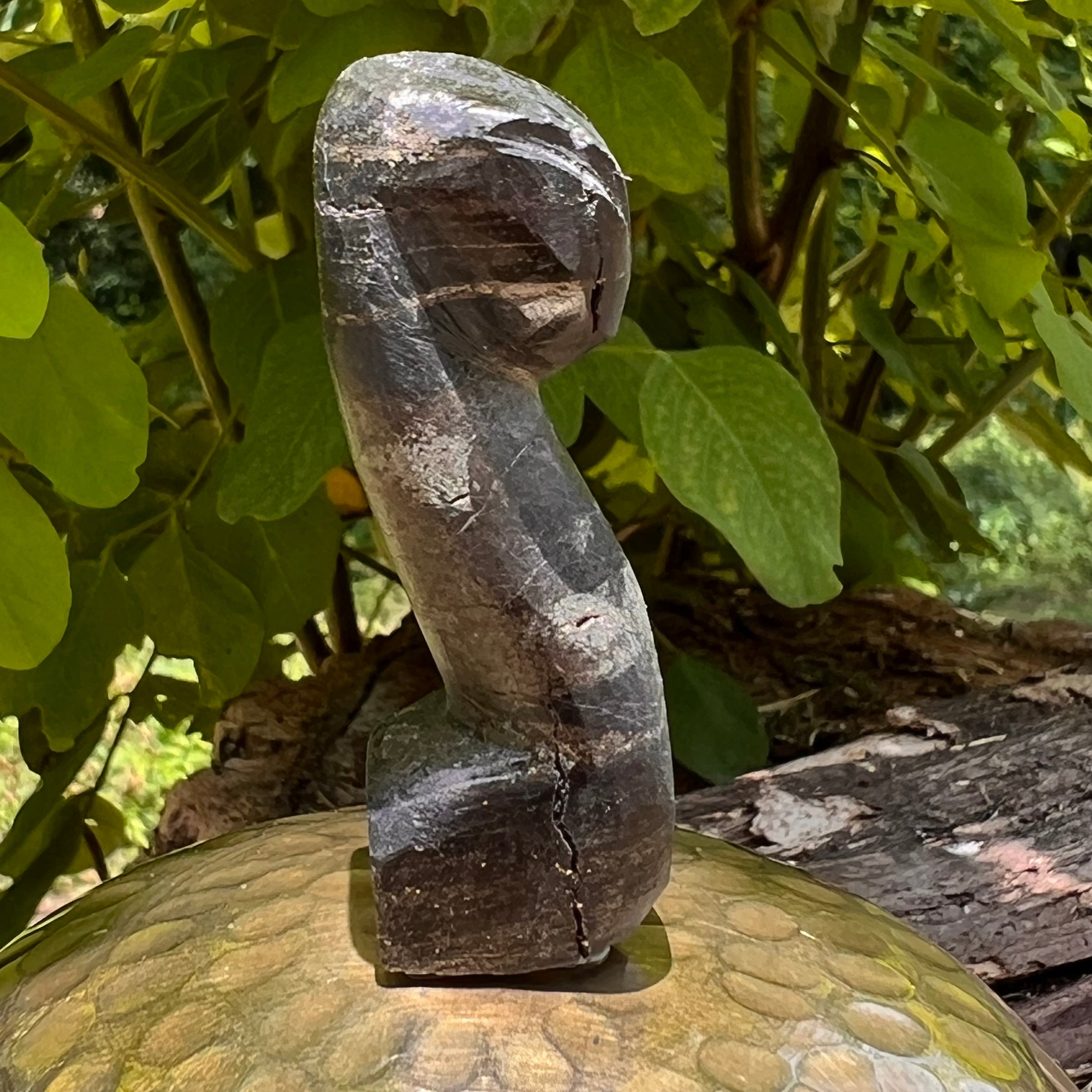 Alien Crystal Carving - Alienite® Star Being #87-Moldavite Life