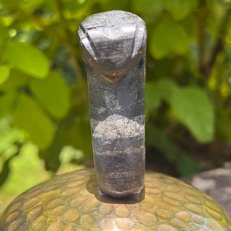 Alien Crystal Carving - Alienite® Star Being #87-Moldavite Life