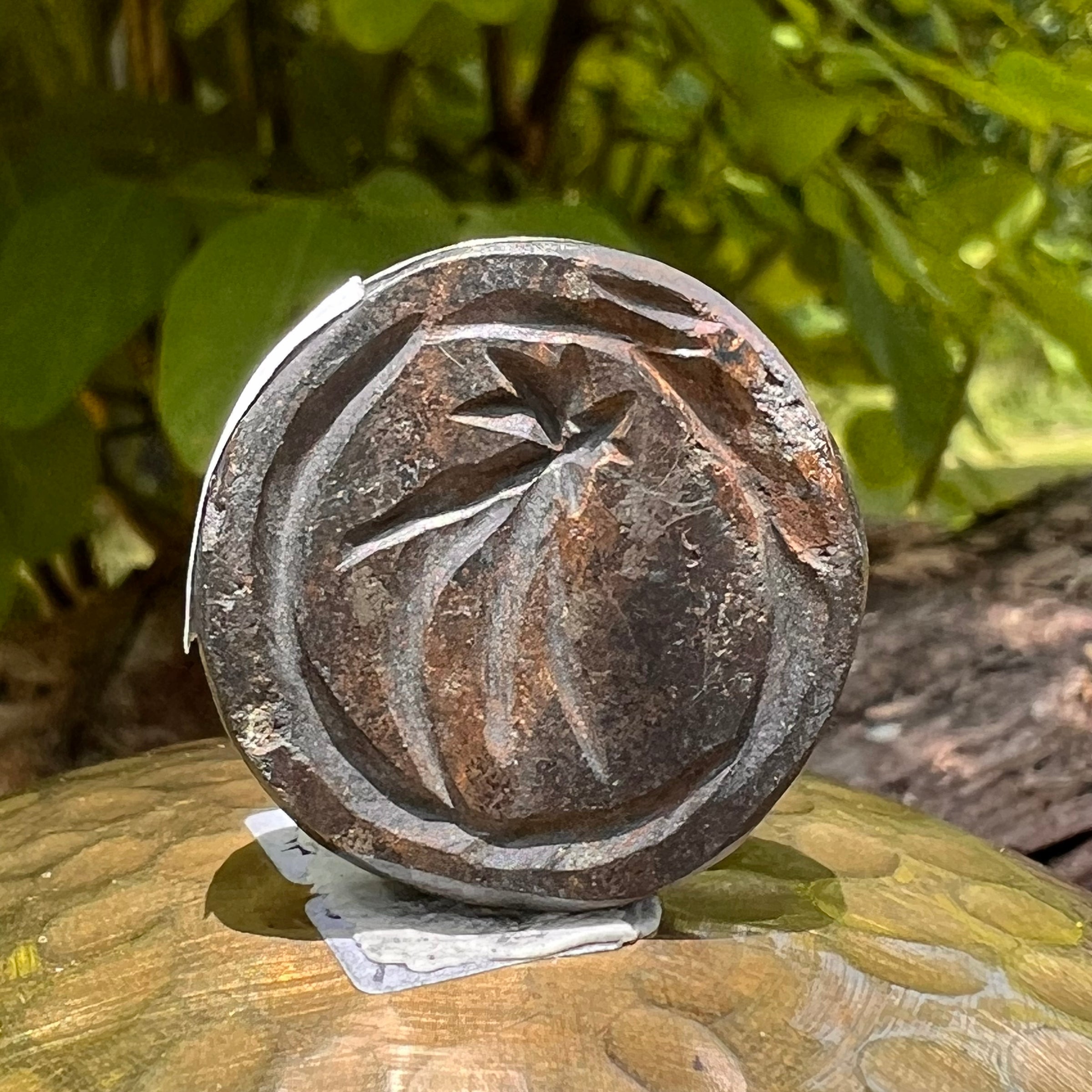 Alien Crystal Carving - Alienite® UFO Ride Token #90-Moldavite Life