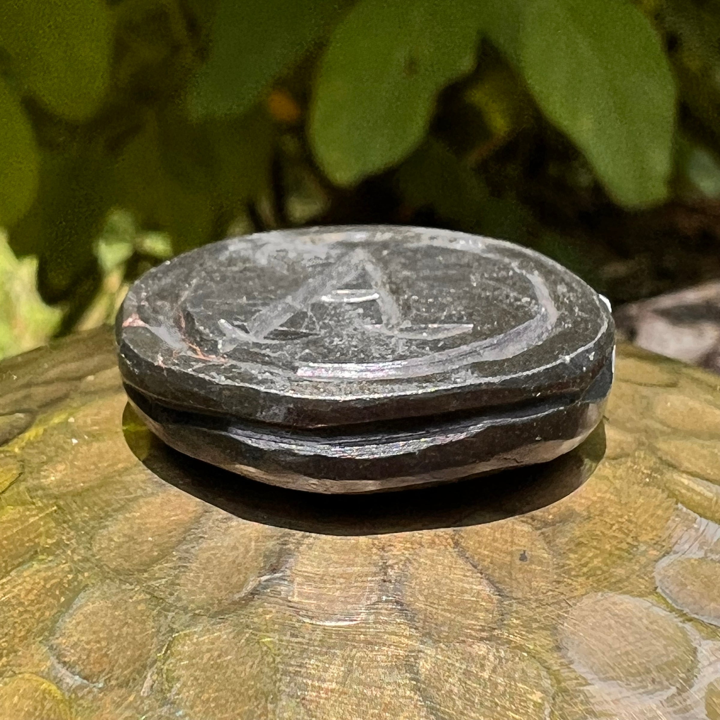 Alien Crystal Carving - Alienite® UFO Ride Token #90-Moldavite Life