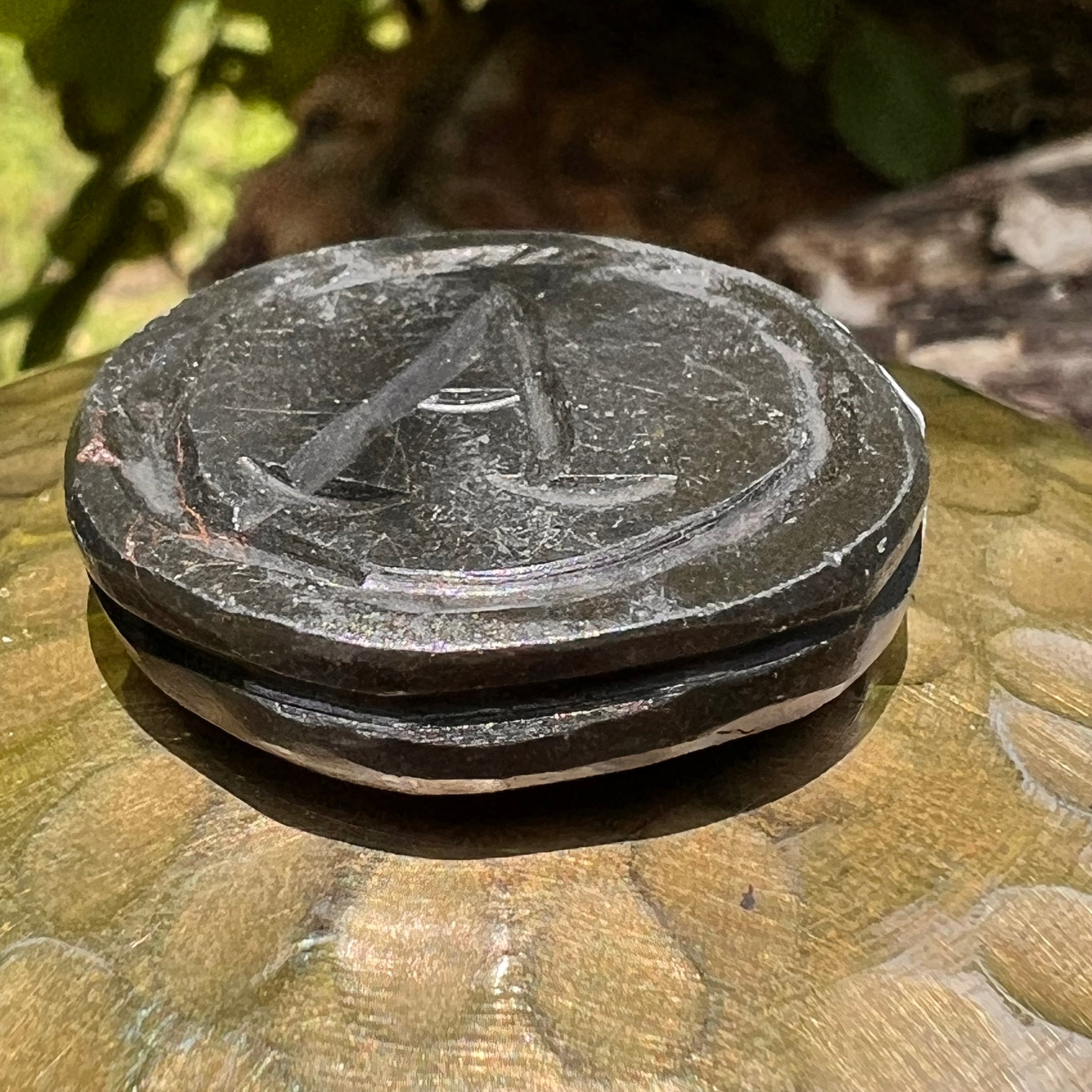 Alien Crystal Carving - Alienite® UFO Ride Token #90-Moldavite Life