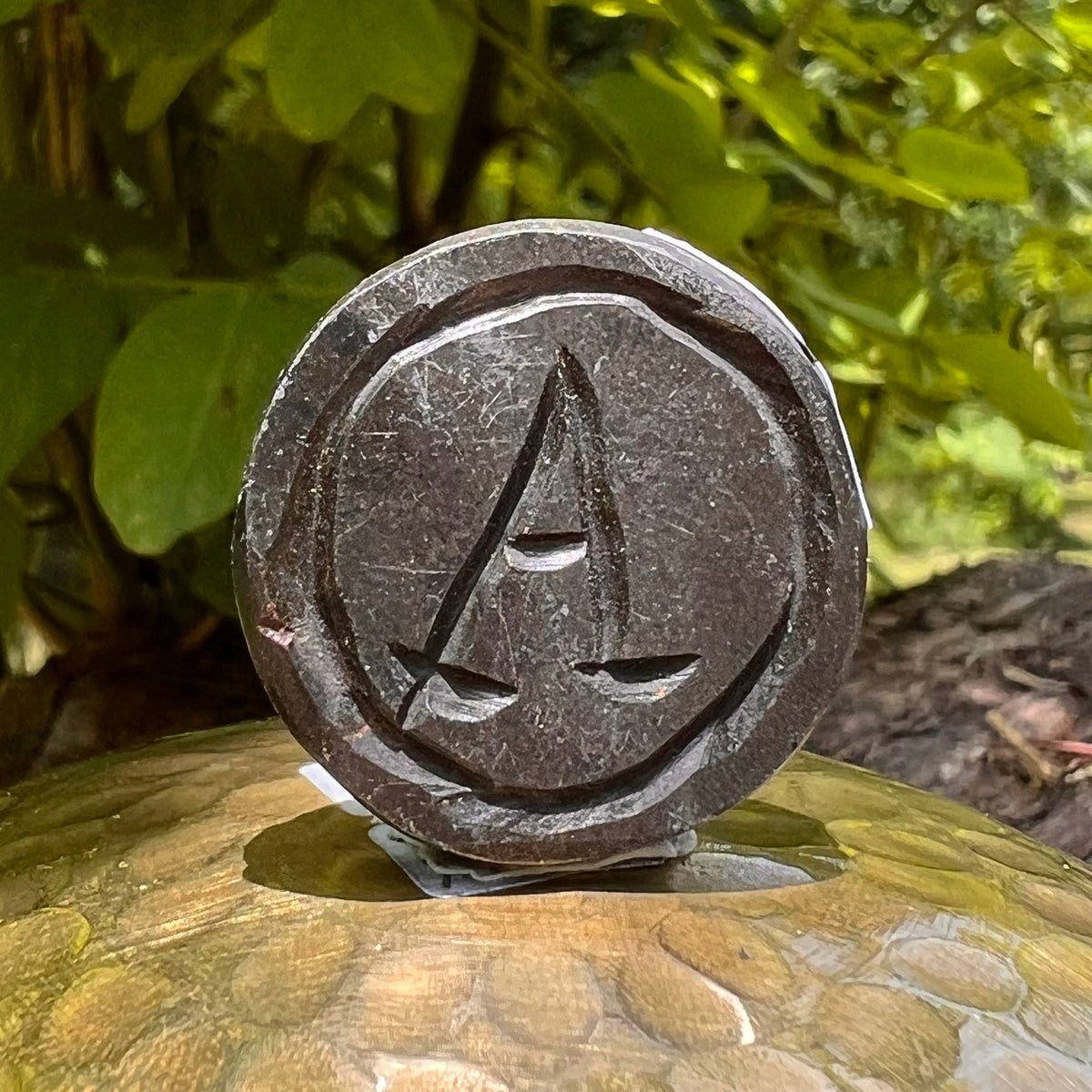 Alien Crystal Carving - Alienite® UFO Ride Token #90-Moldavite Life