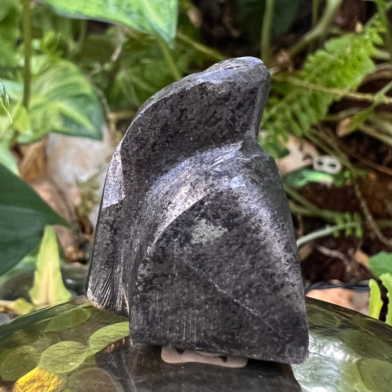 Alienite Star Being "Engineer" #4-Moldavite Life