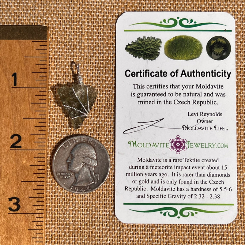 Besednice Moldavite Wire Wrapped Pendant Sterling #7516-Moldavite Life